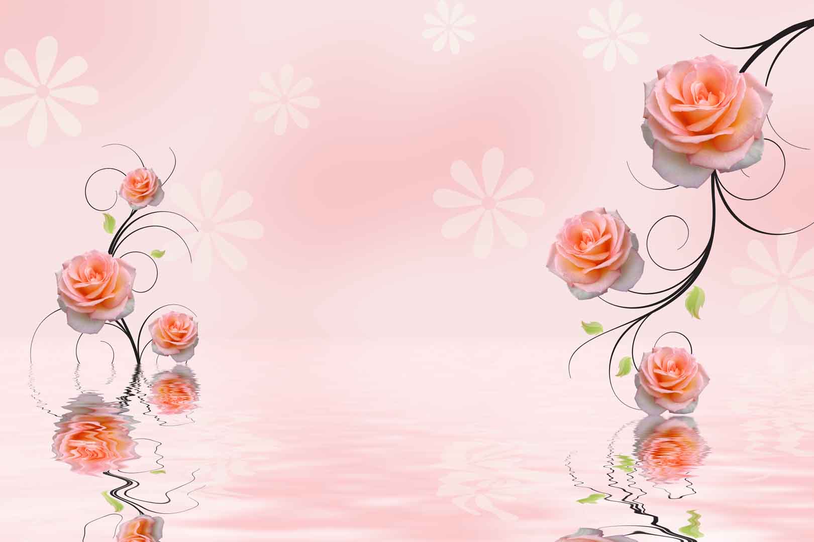 VIPcorel.com_10451.jpg