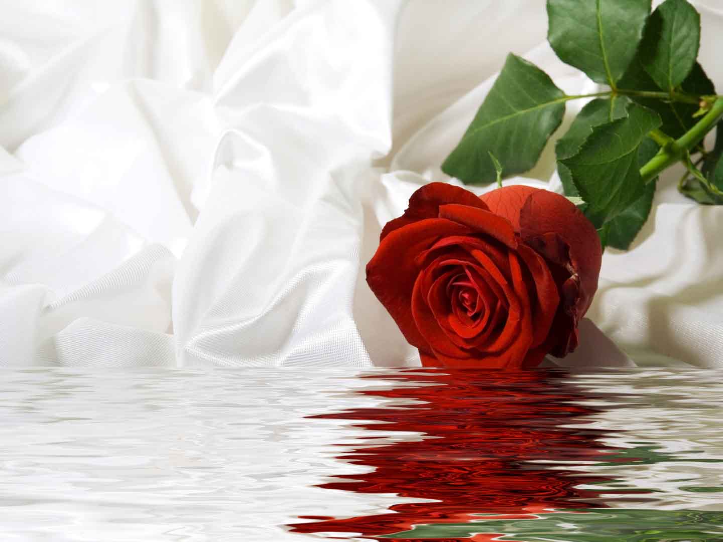 VIPcorel.com_10455.jpg