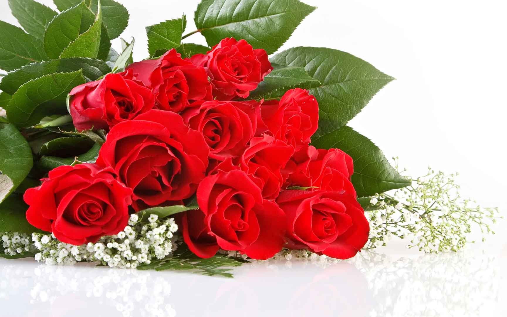 VIPcorel.com_10459.jpg