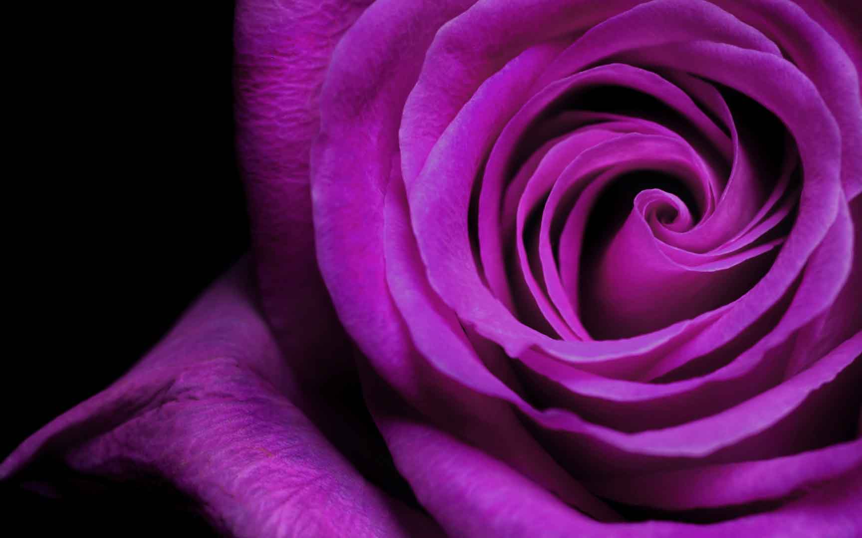 VIPcorel.com_10460.jpg