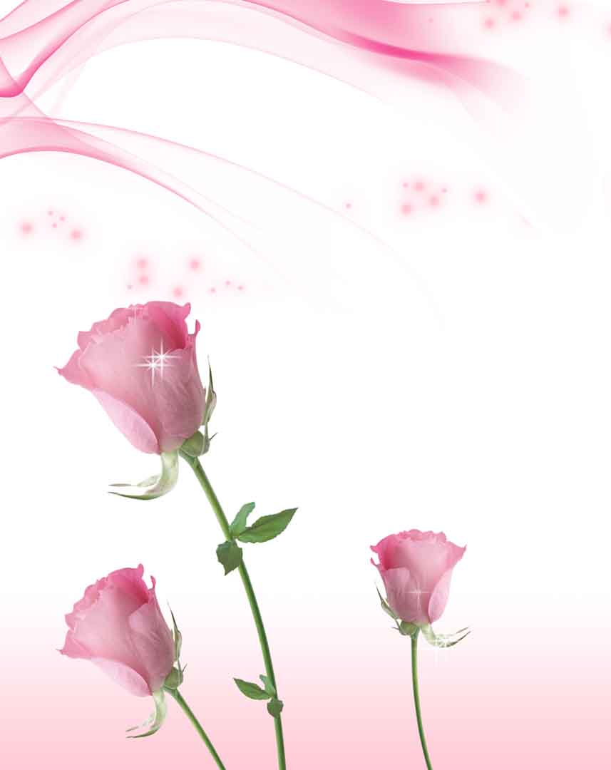 VIPcorel.com_10461.jpg