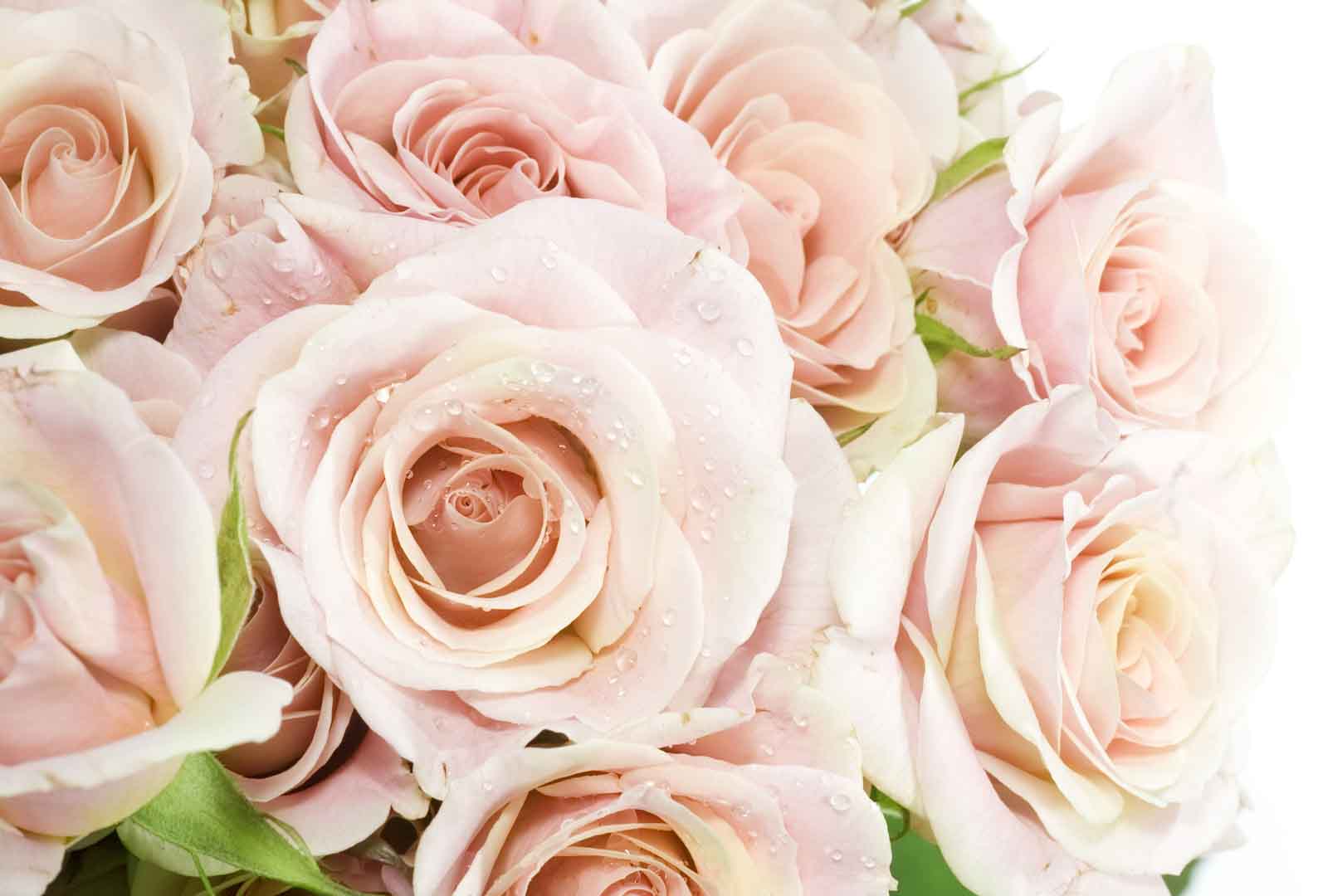 VIPcorel.com_10465.jpg
