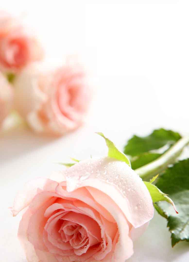 VIPcorel.com_10467.jpg