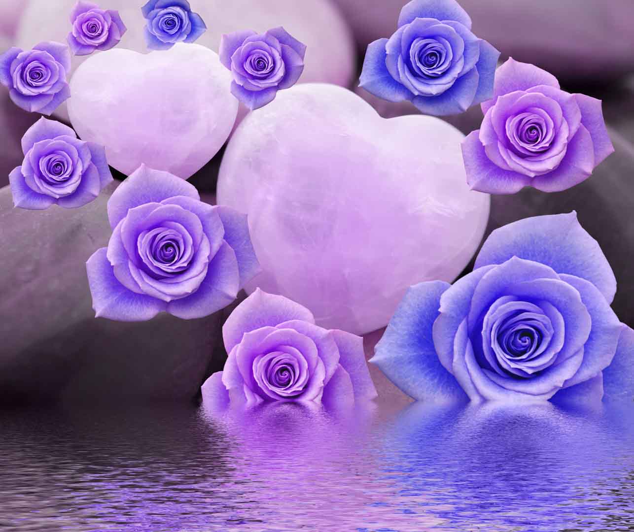 VIPcorel.com_10471.jpg