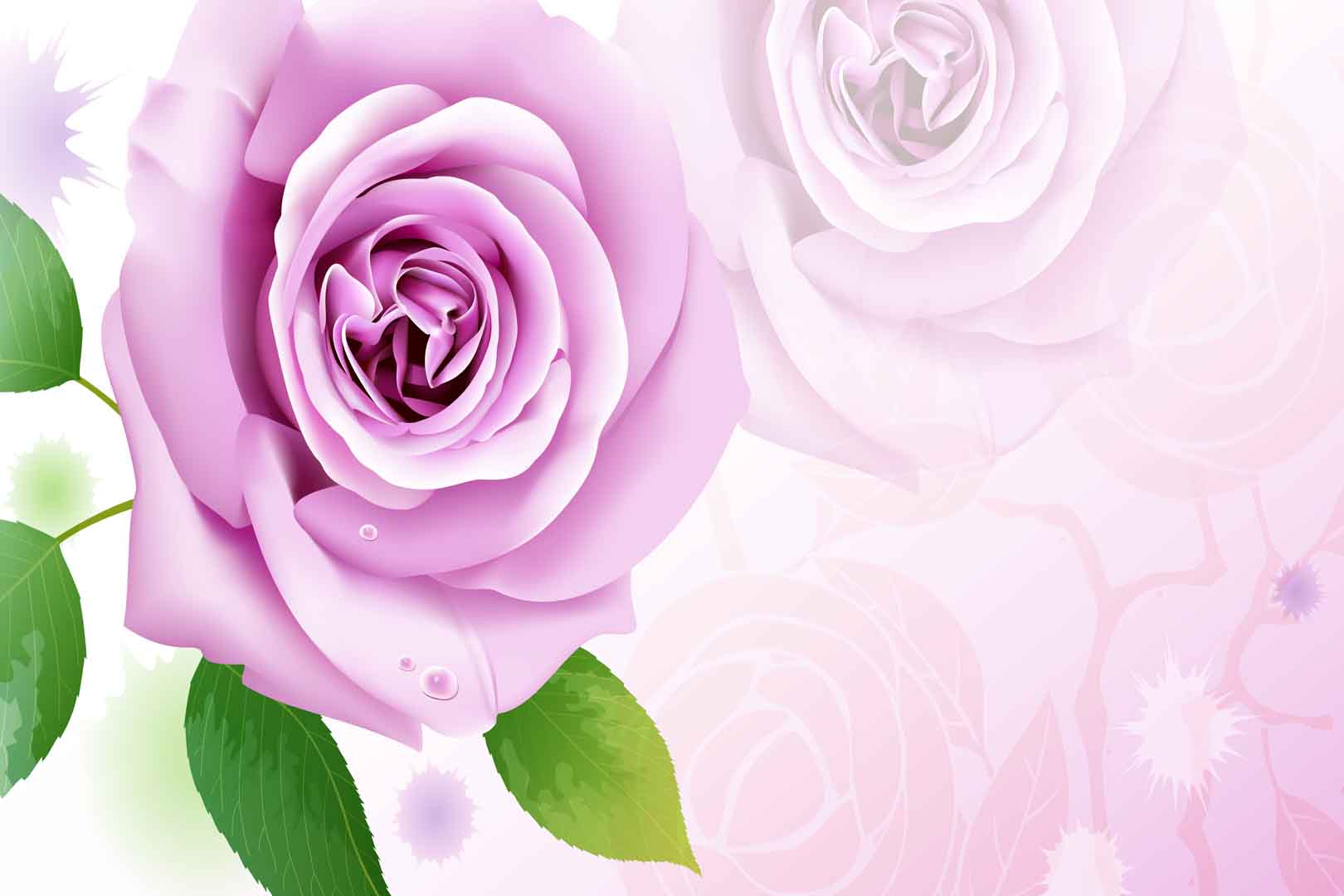 VIPcorel.com_10478.jpg