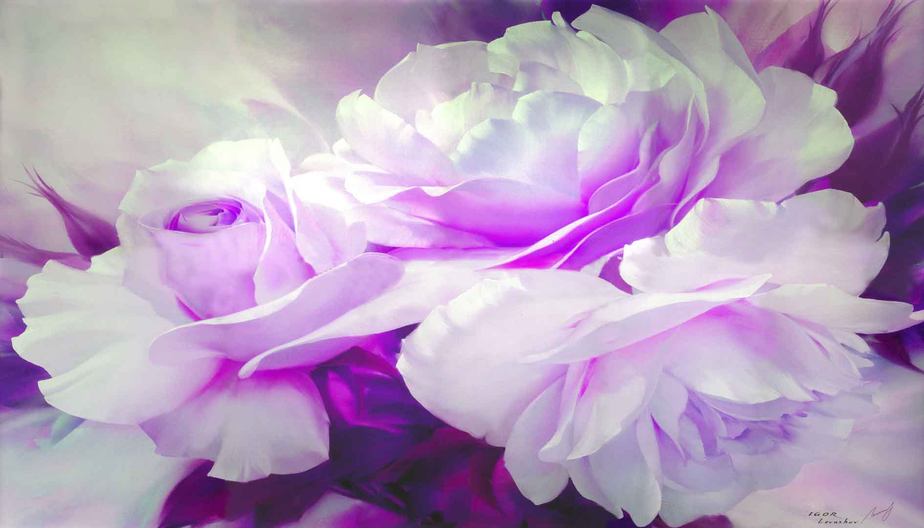 VIPcorel.com_10484.jpg