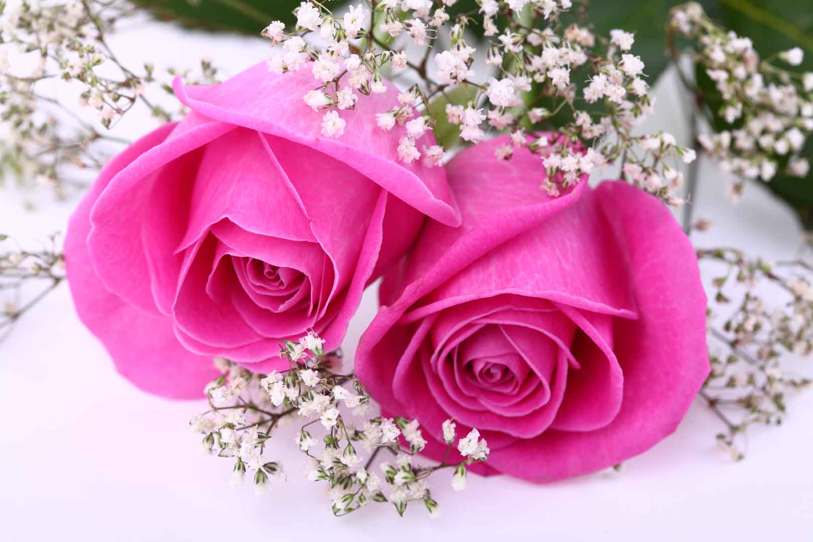 VIPcorel.com_10485.jpg