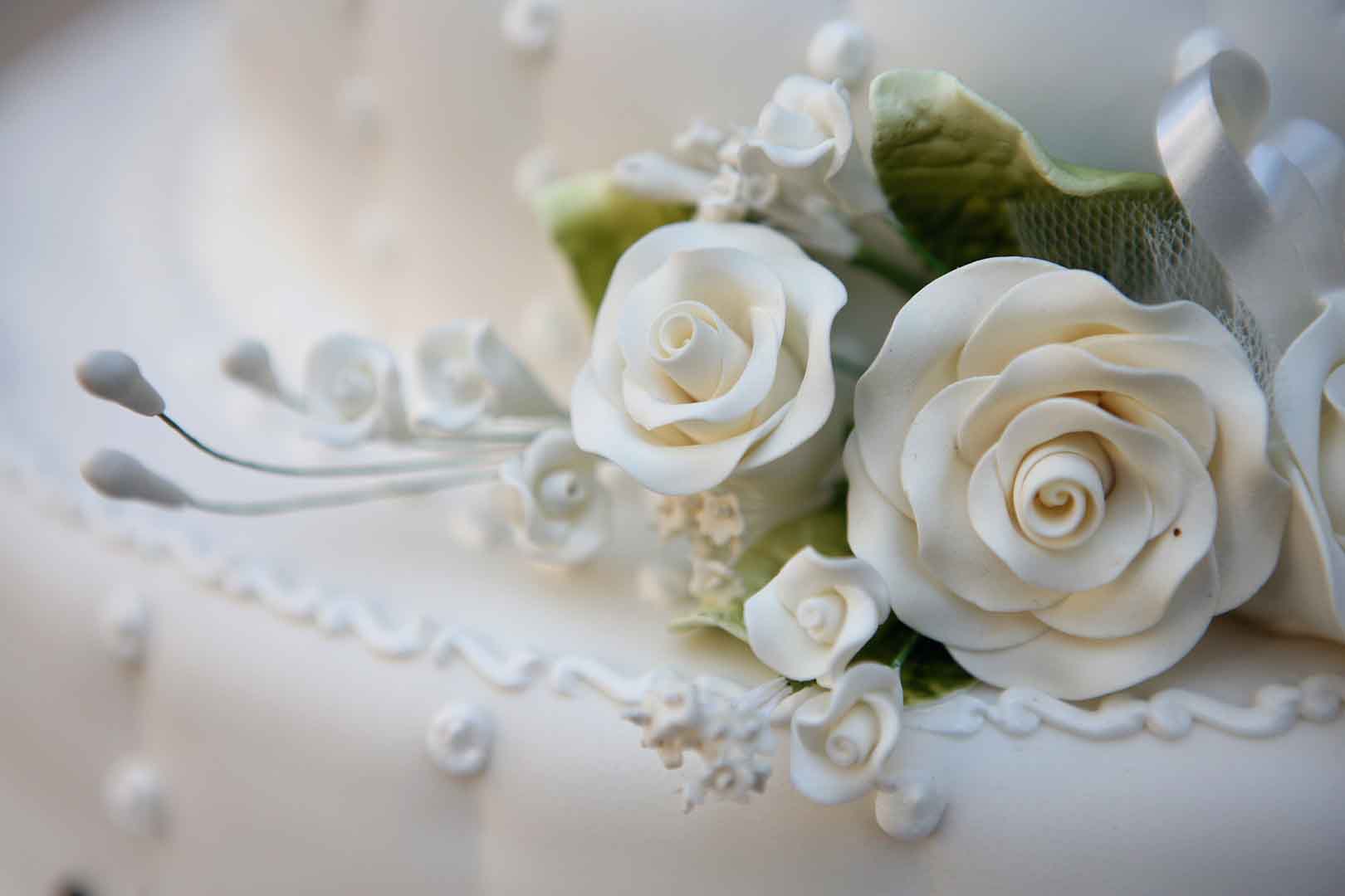 VIPcorel.com_10487.jpg