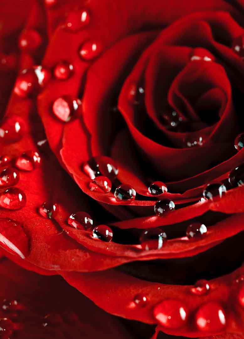 VIPcorel.com_10489.jpg