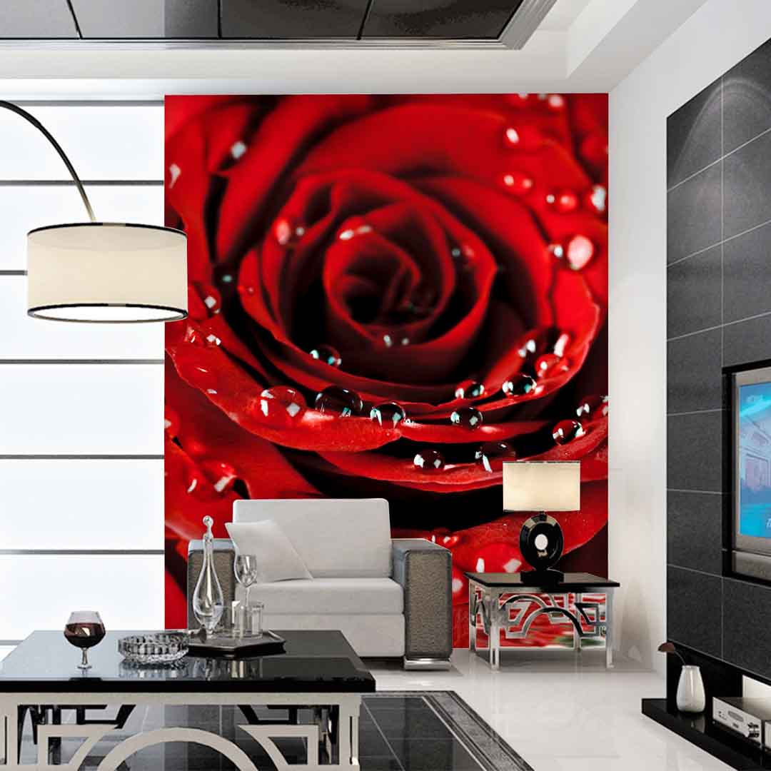 VIPcorel.com_10490b.jpg
