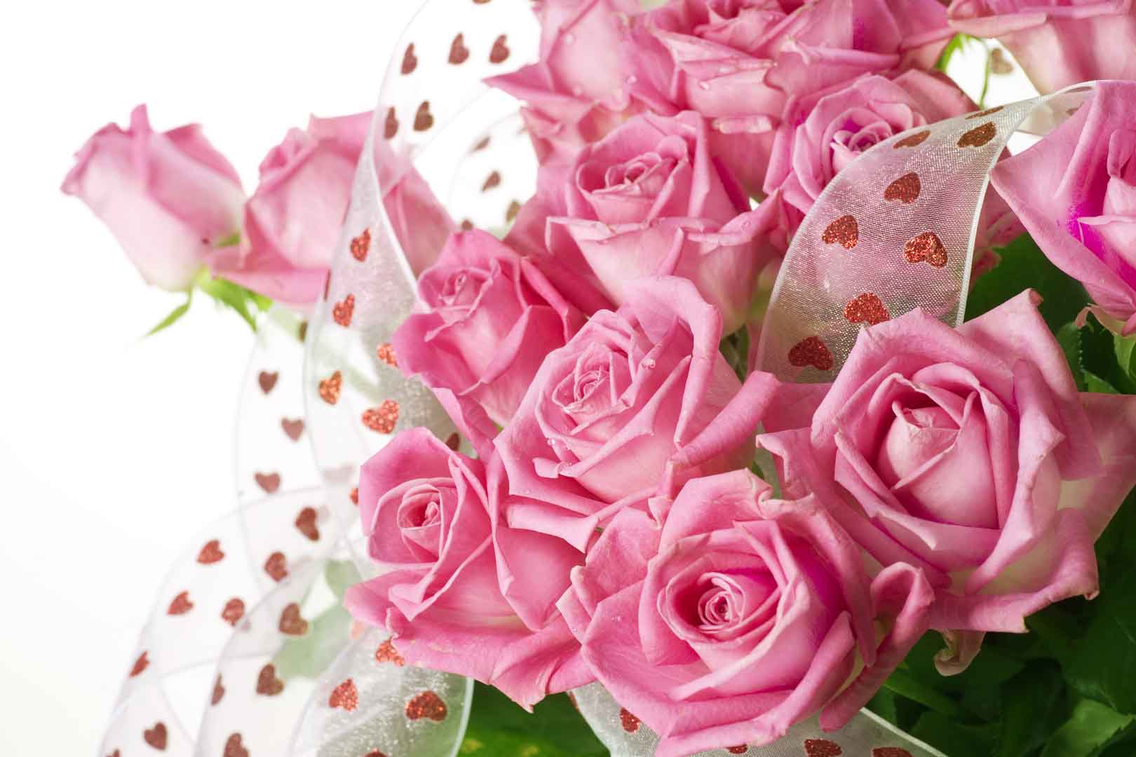 VIPcorel.com_10491.jpg