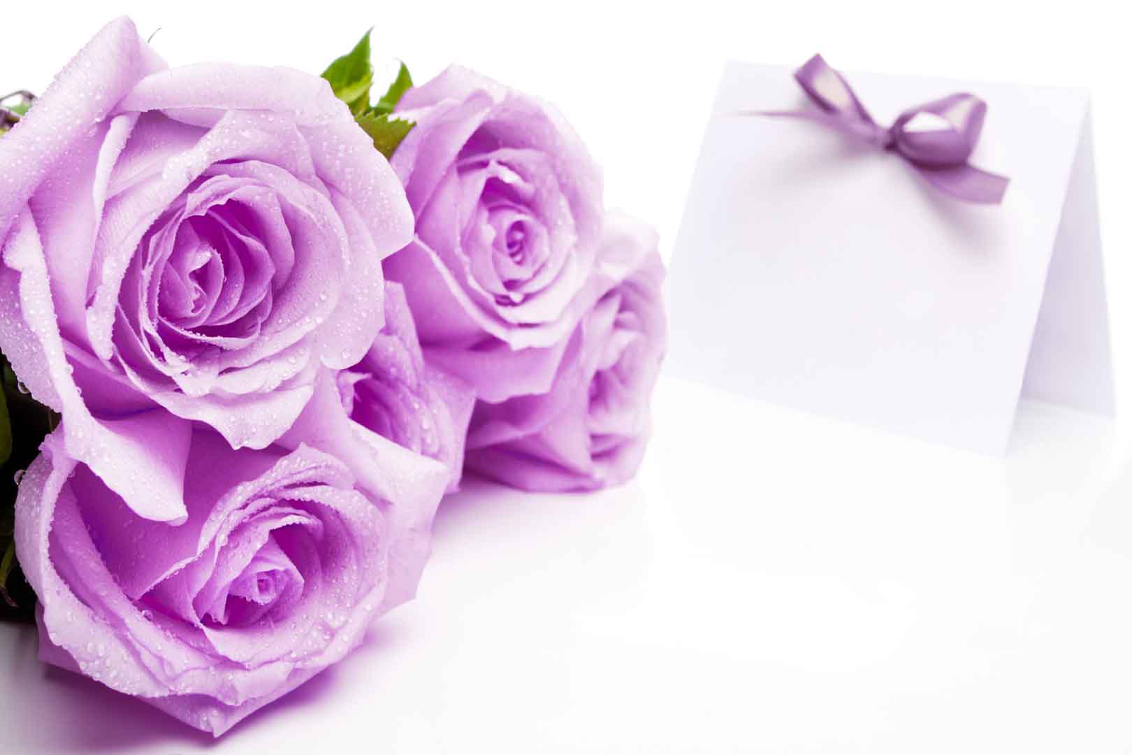VIPcorel.com_10492.jpg