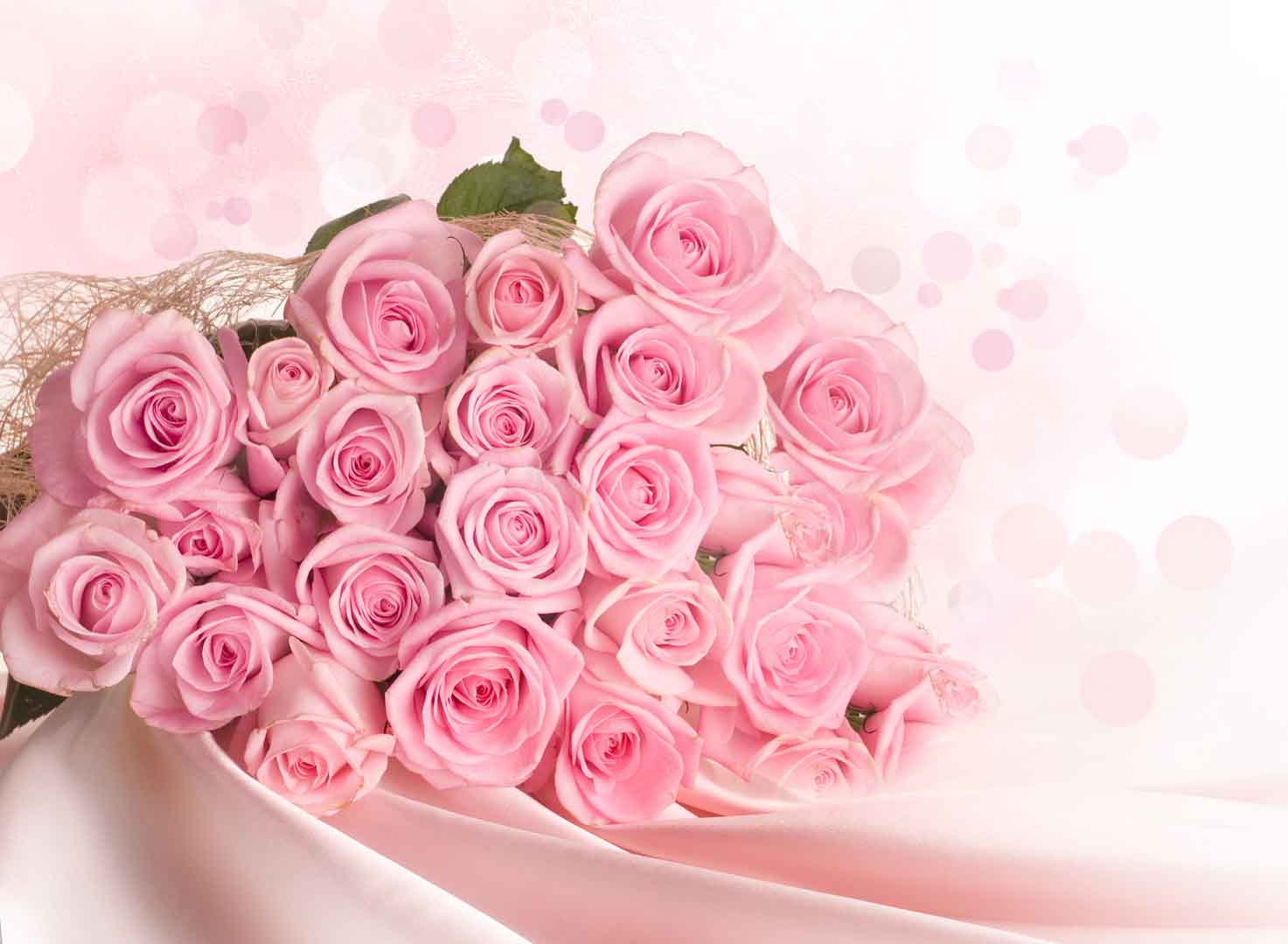 VIPcorel.com_10493.jpg