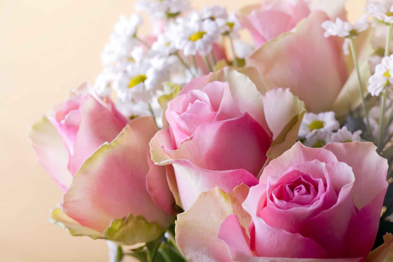 VIPcorel.com_10494.jpg