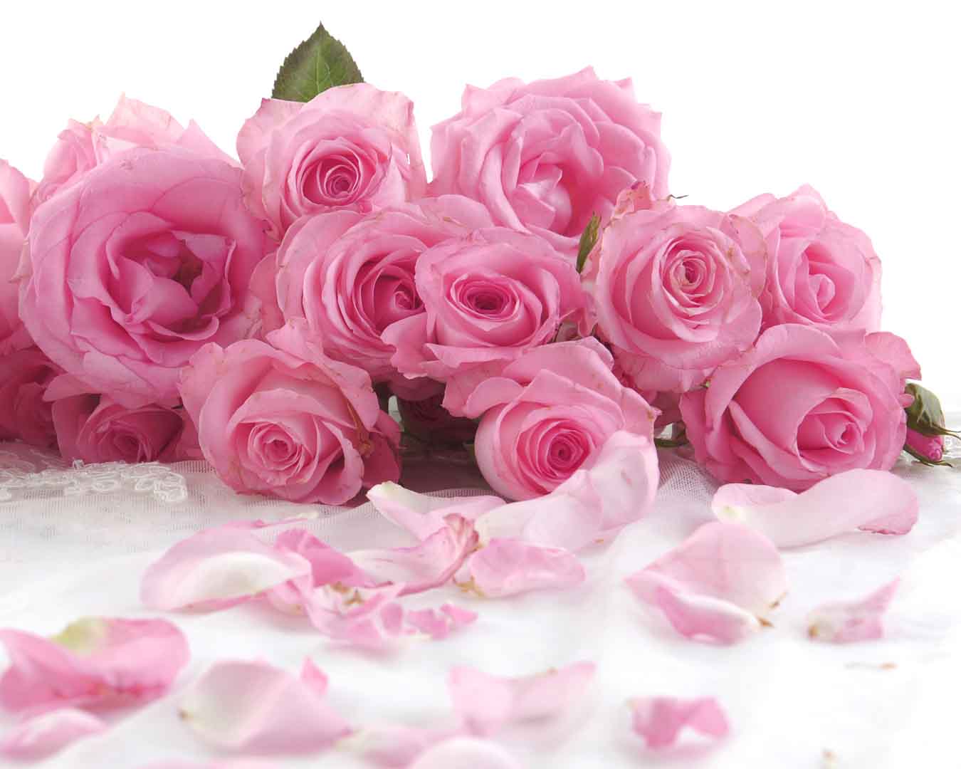 VIPcorel.com_10495.jpg