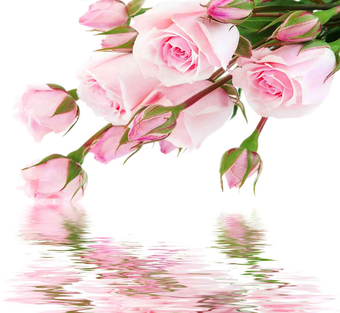 VIPcorel.com_10497.jpg