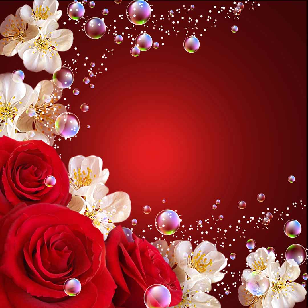 VIPcorel.com_10504.jpg