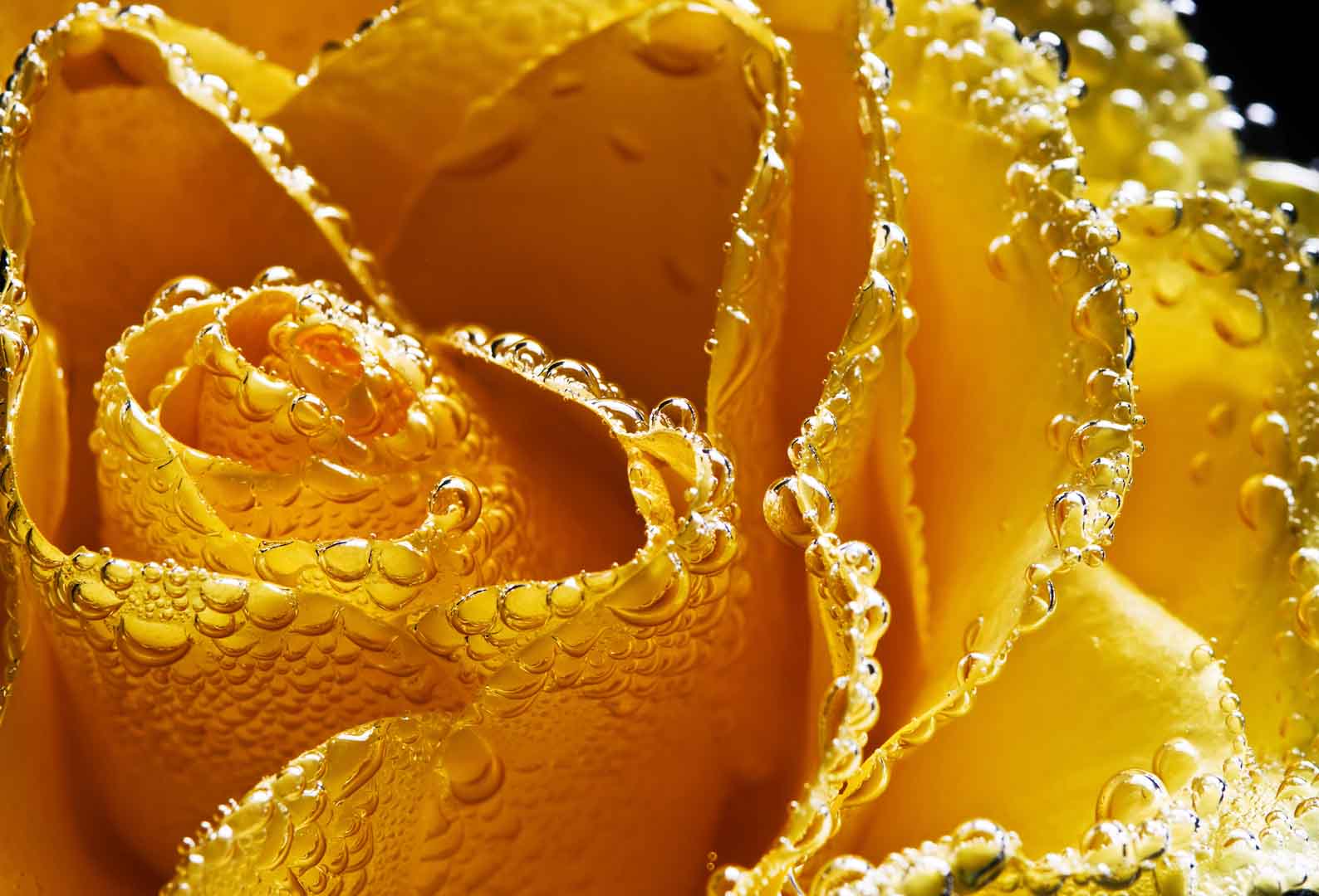 VIPcorel.com_10507.jpg