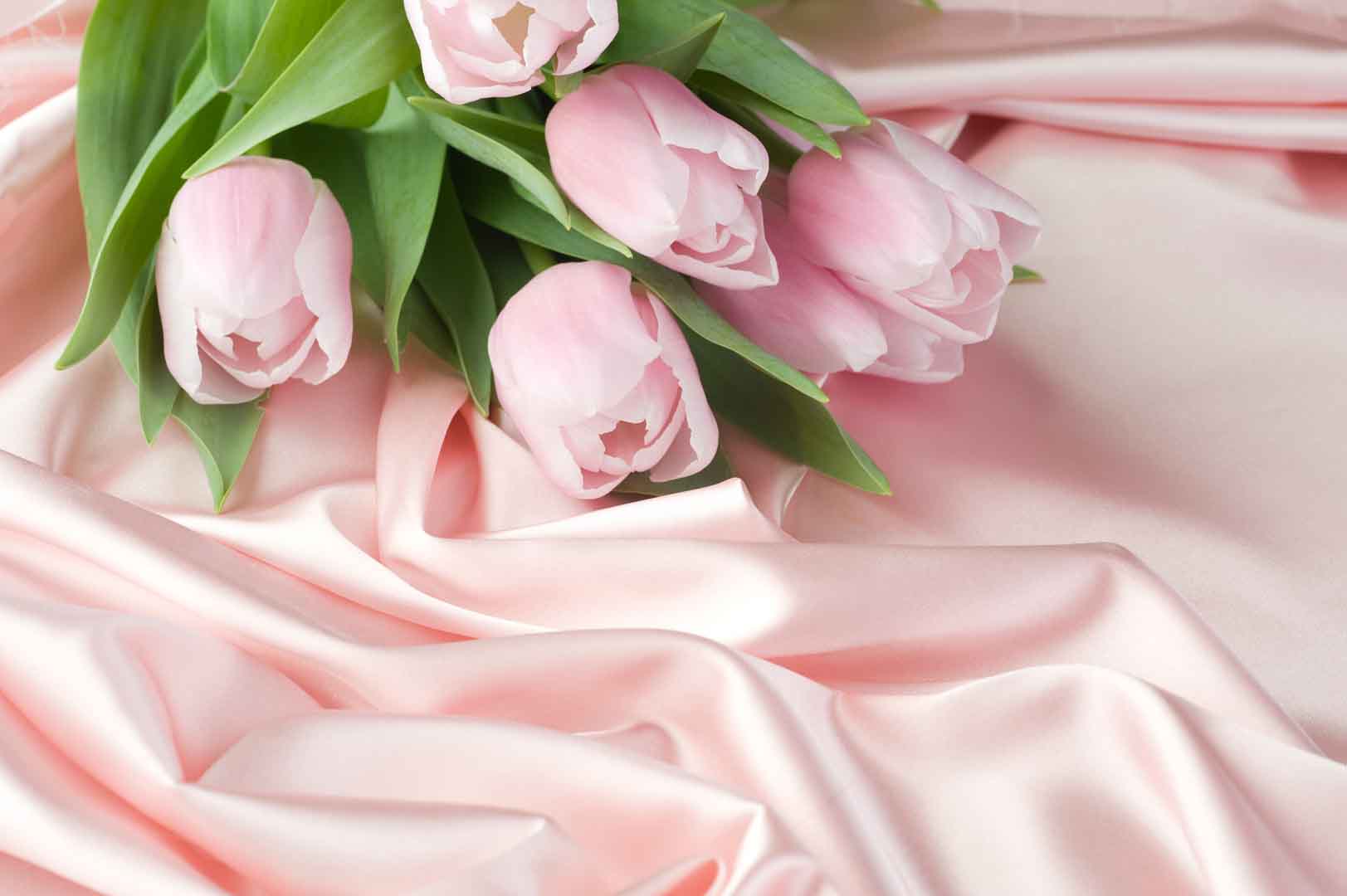 VIPcorel.com_10508.jpg