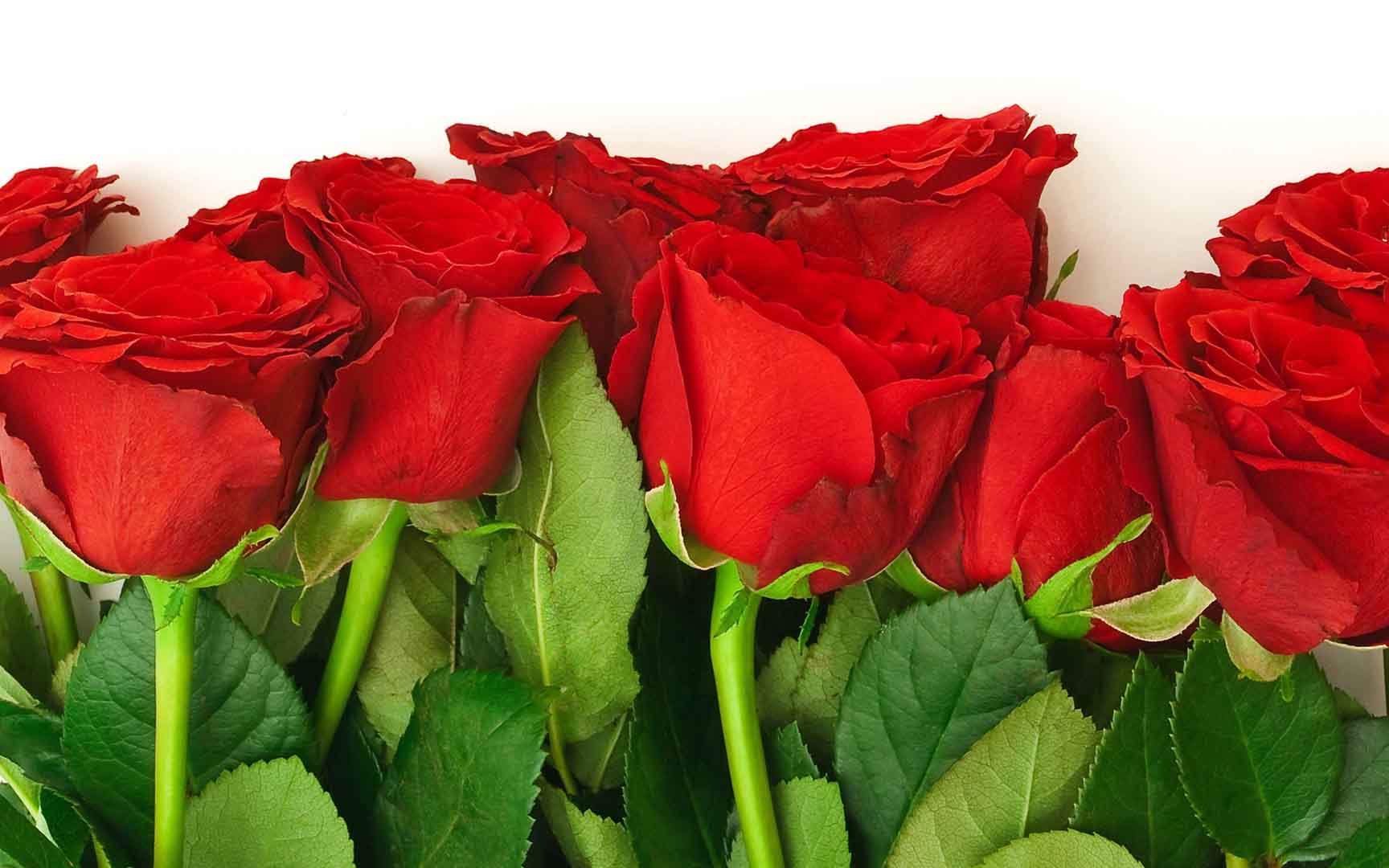 VIPcorel.com_10510.jpg