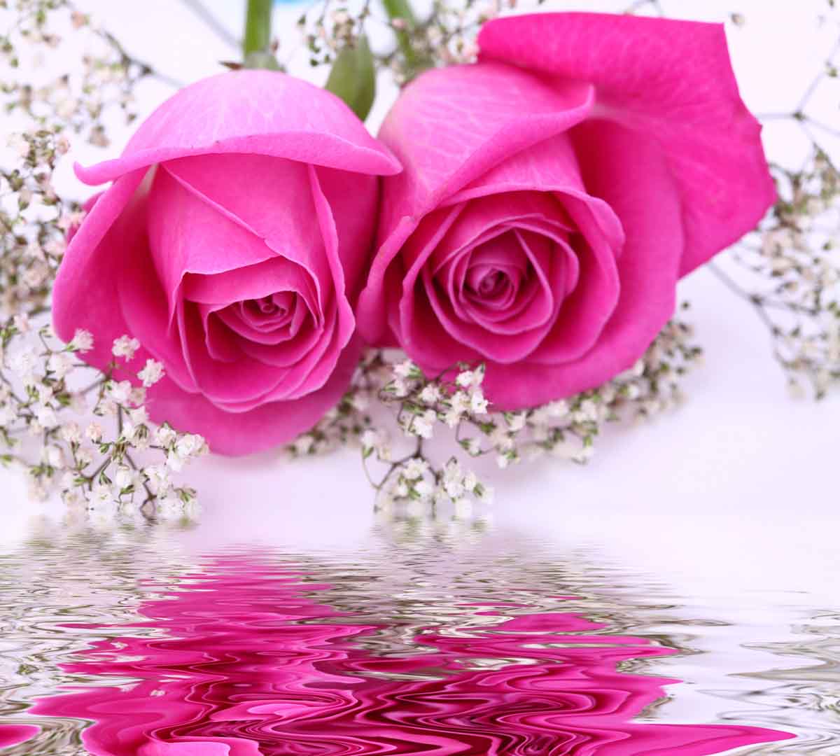 VIPcorel.com_10511.jpg
