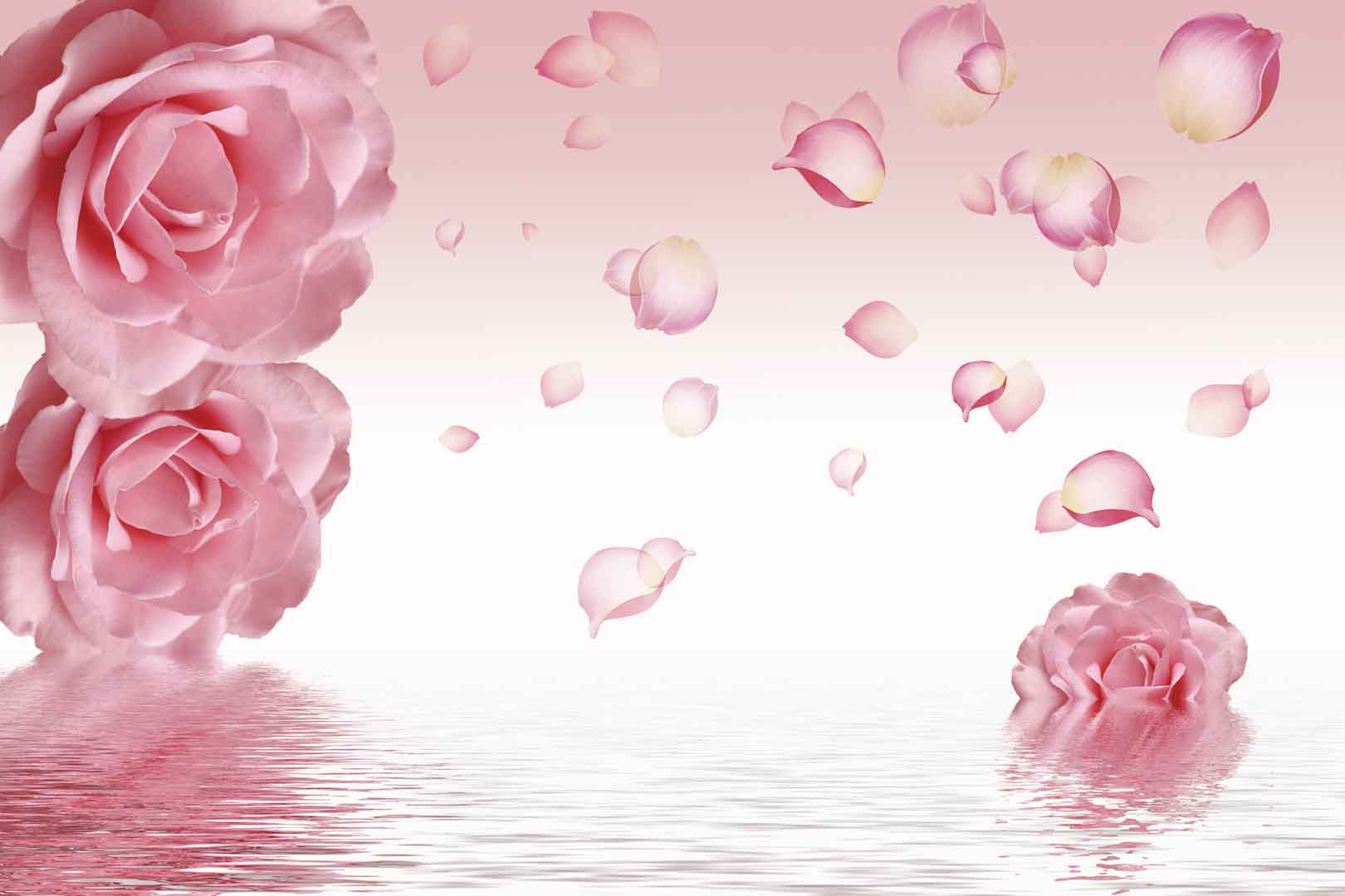 VIPcorel.com_10512.jpg