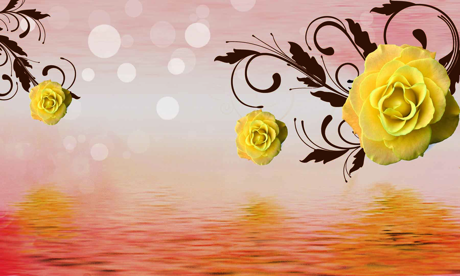 VIPcorel.com_10513.jpg