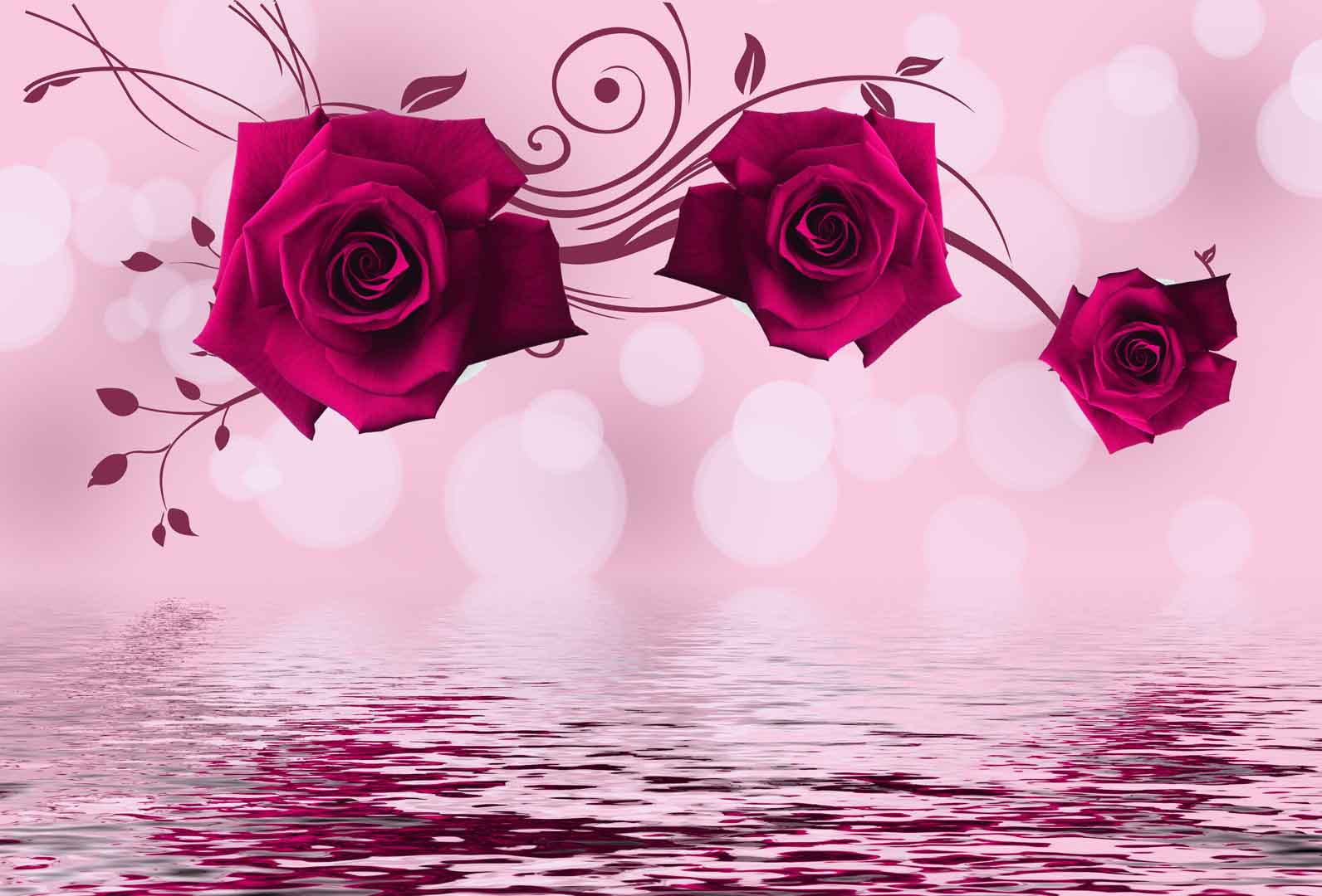 VIPcorel.com_10516.jpg
