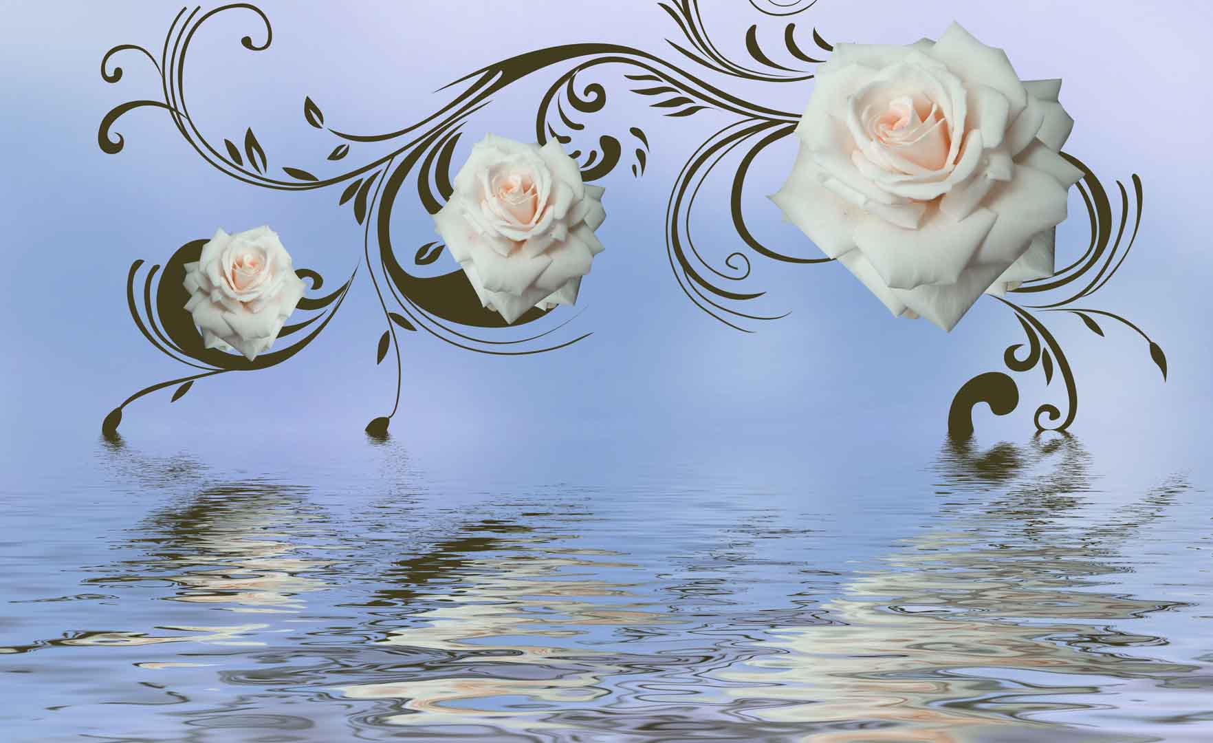 VIPcorel.com_10520.jpg