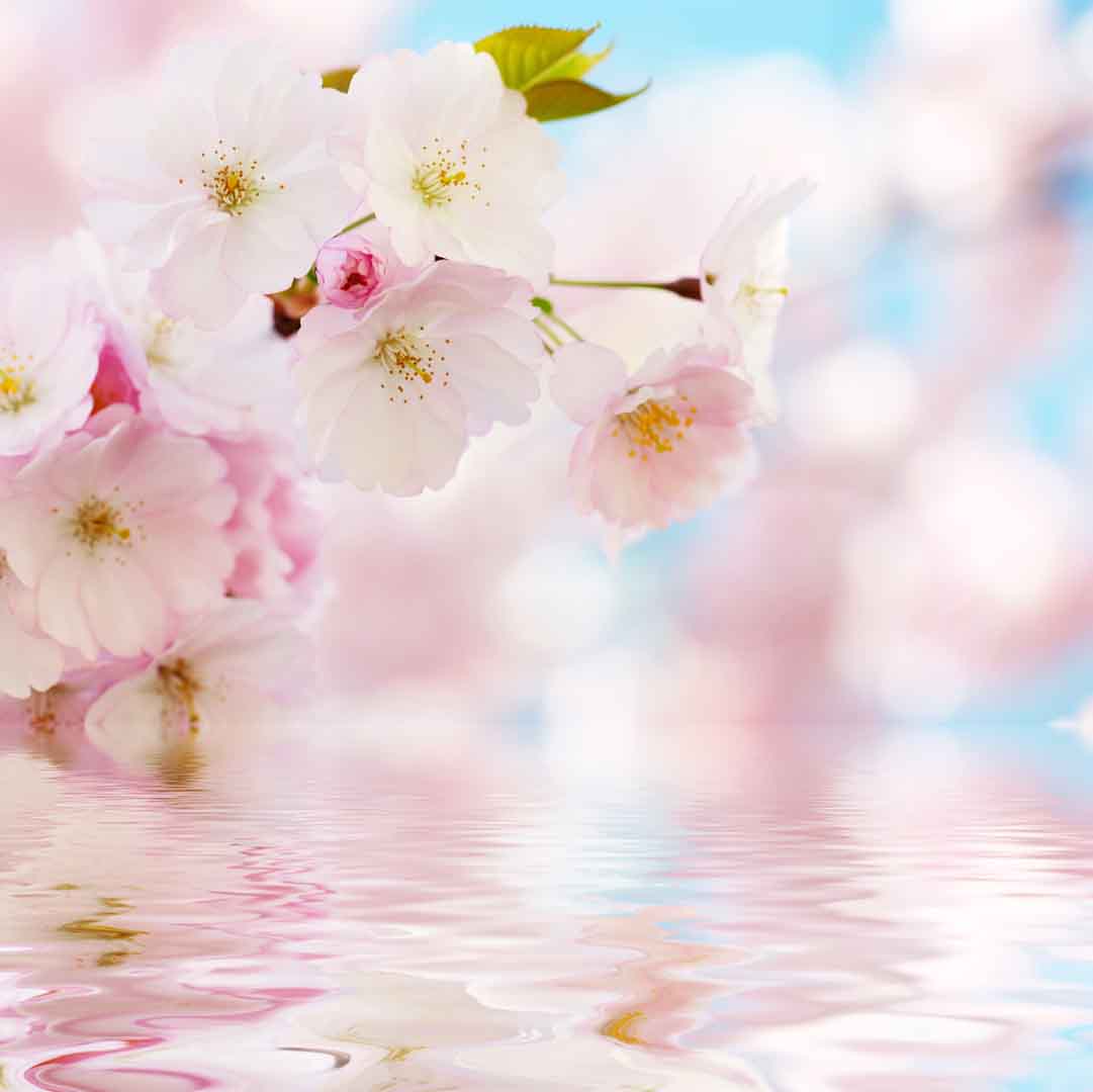 VIPcorel.com_10553.jpg