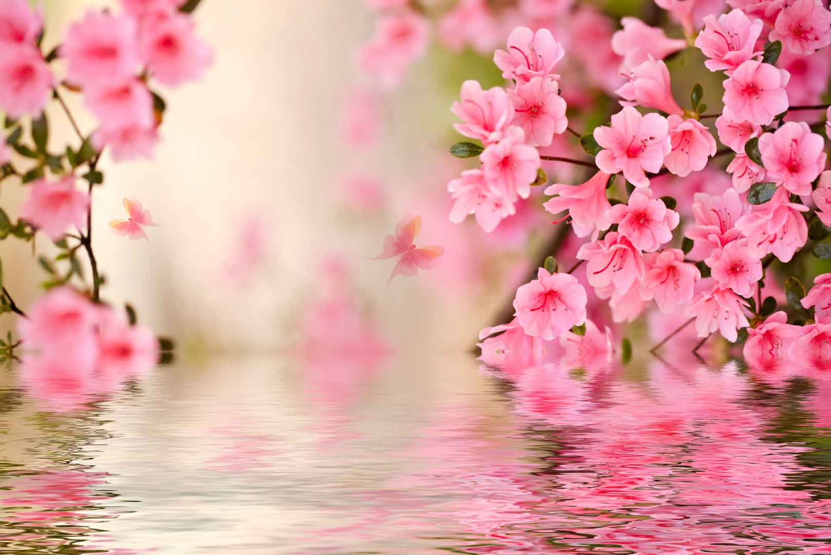 VIPcorel.com_10557.jpg
