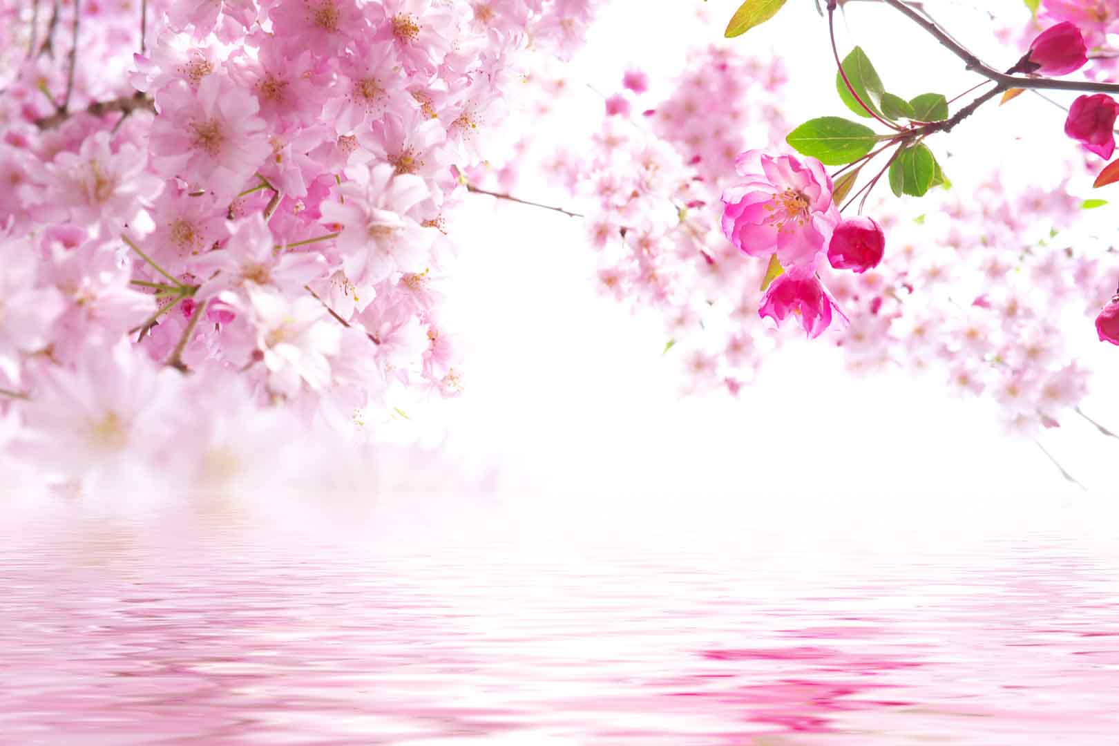 VIPcorel.com_10561.jpg