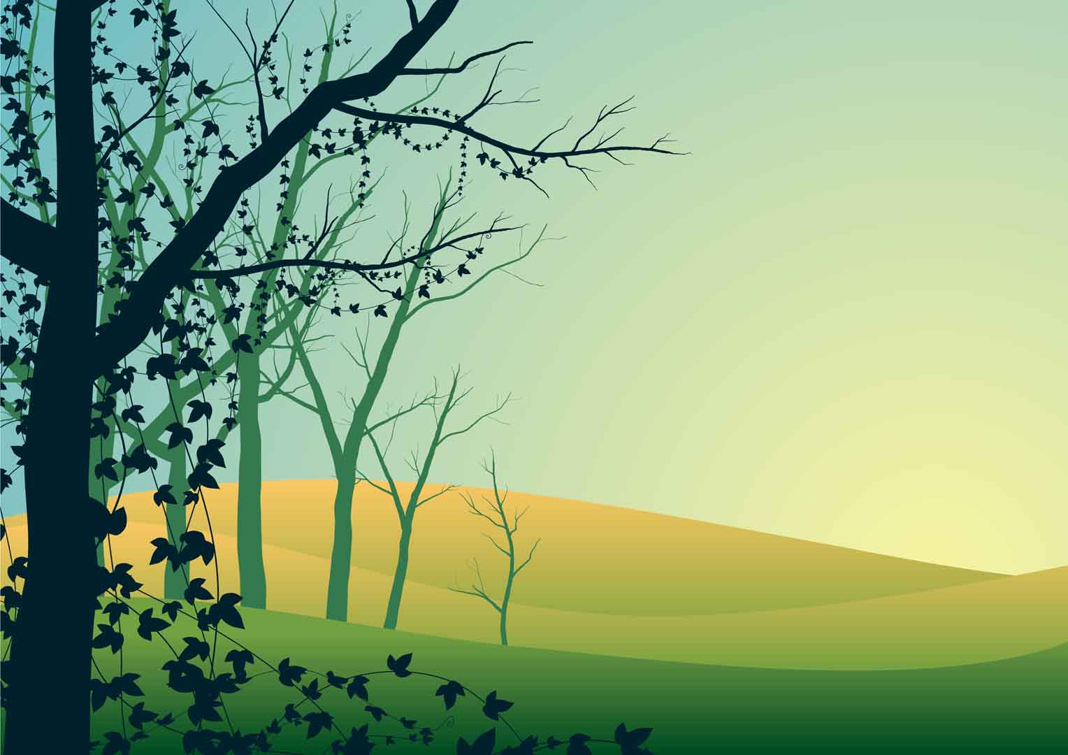 VIPcorel.com_10656.jpg