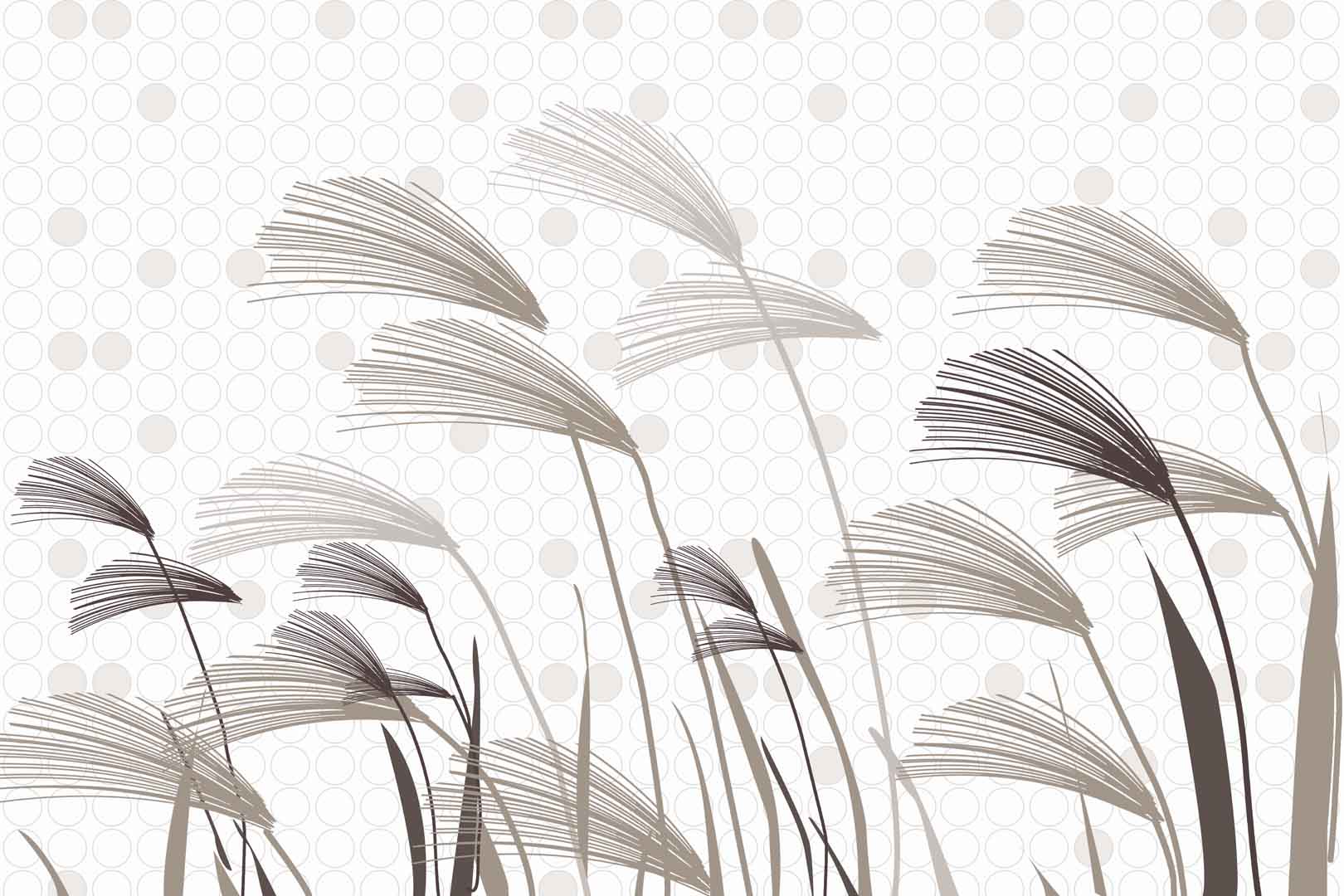 VIPcorel.com_10670.jpg