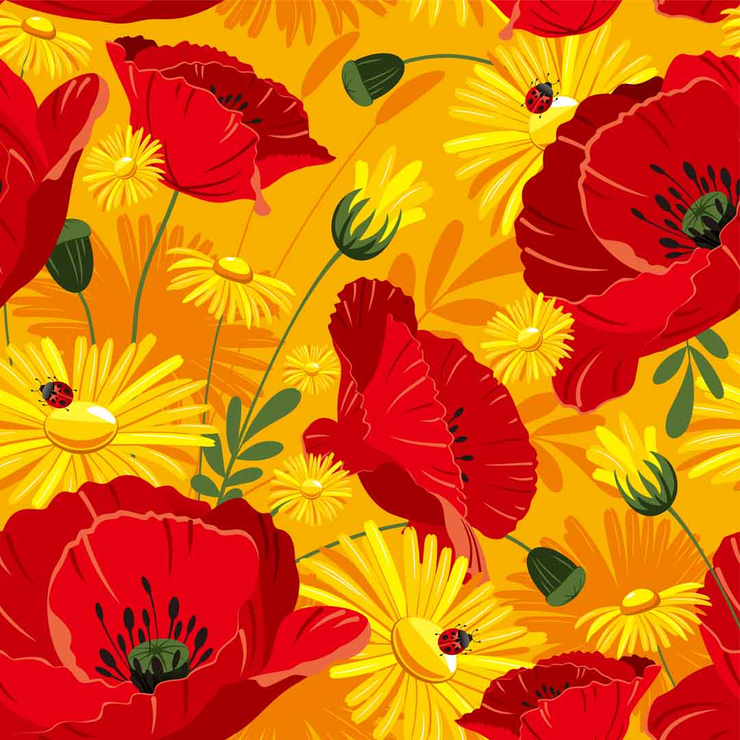 VIPcorel.com_10763.jpg