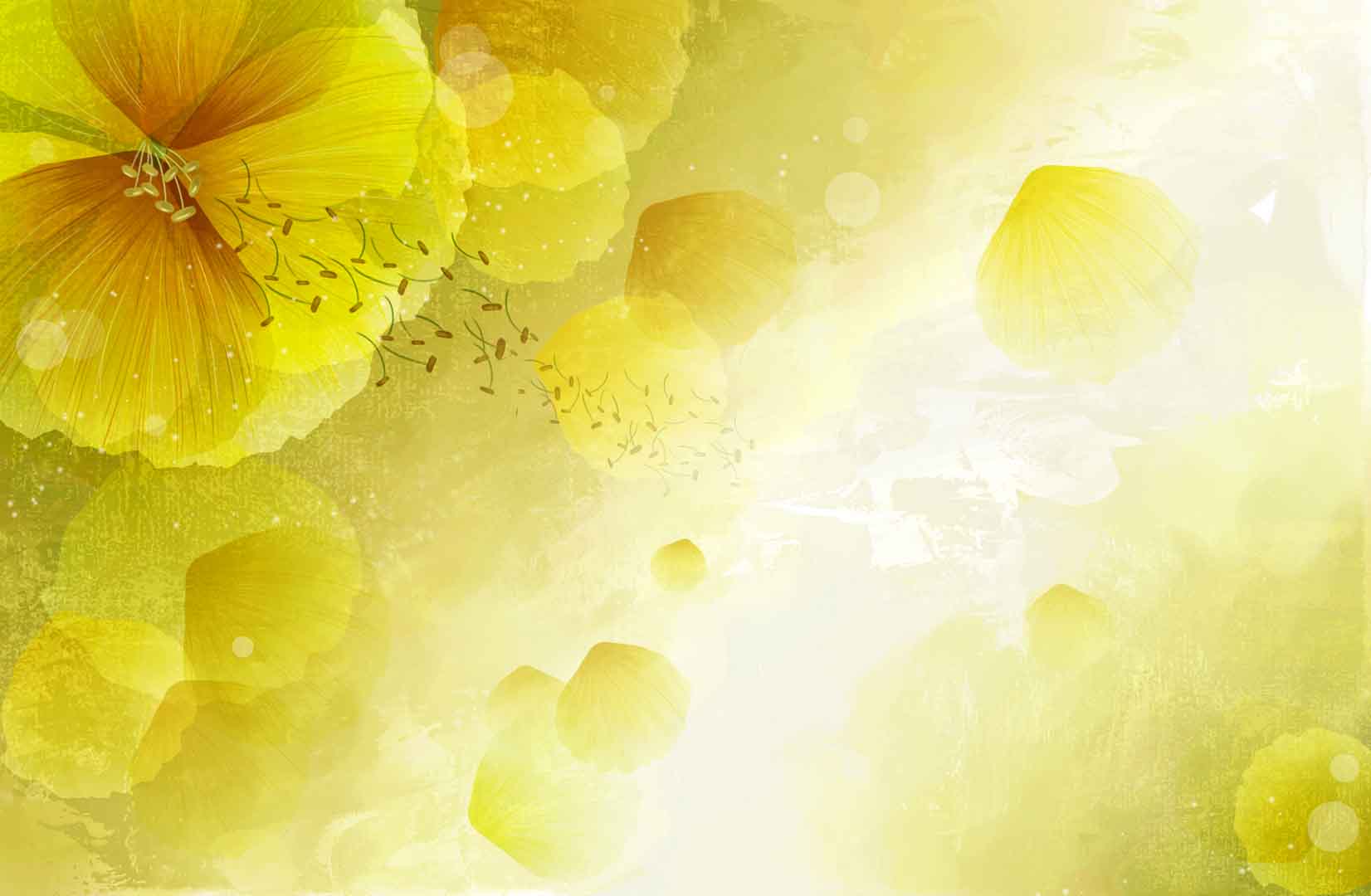 VIPcorel.com_10774.jpg