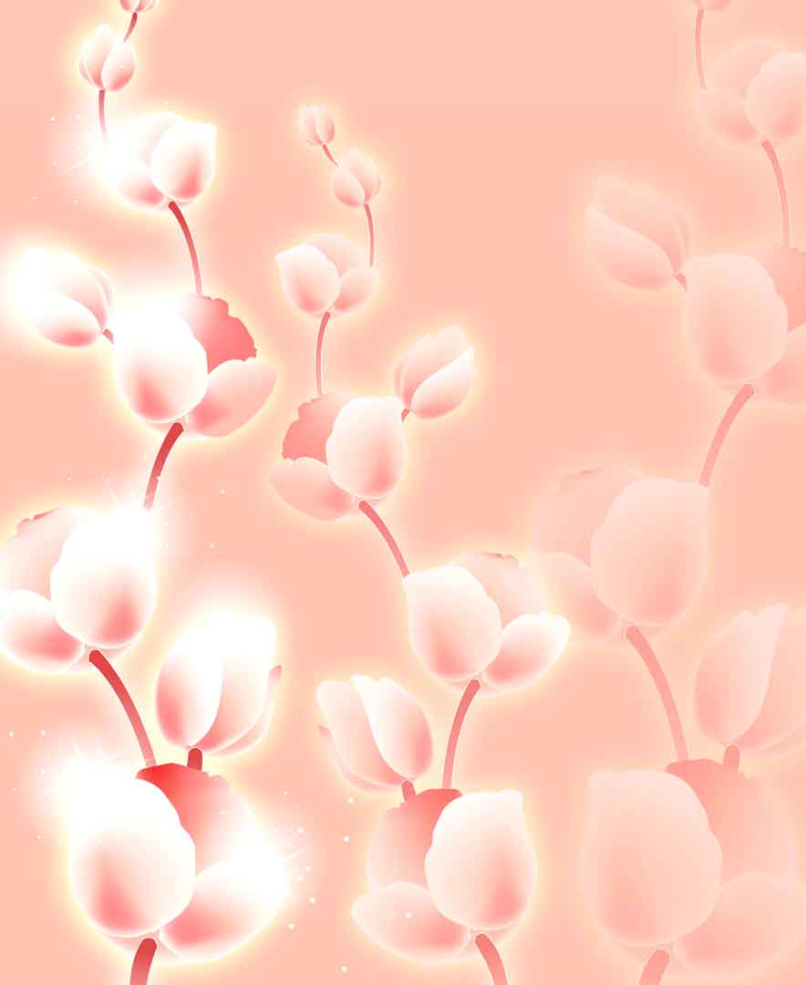 VIPcorel.com_107807.jpg
