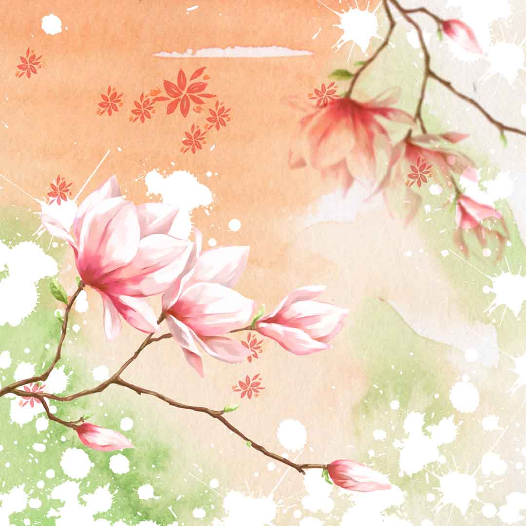 VIPcorel.com_107808.jpg