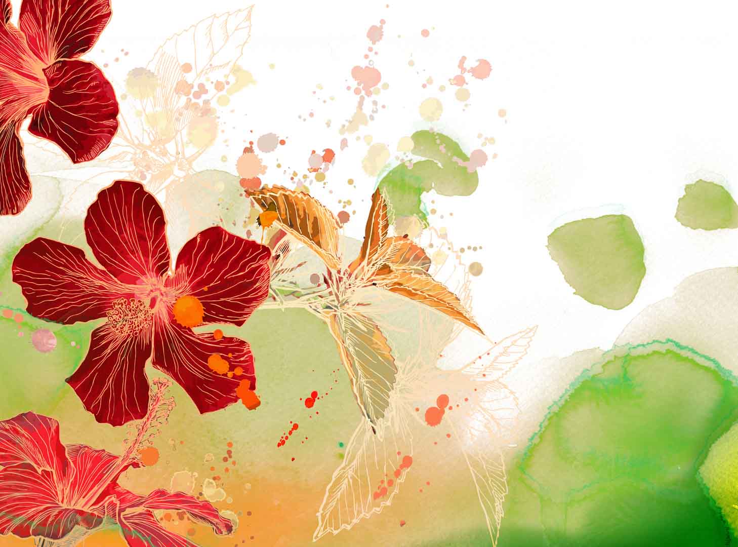 VIPcorel.com_107812.jpg