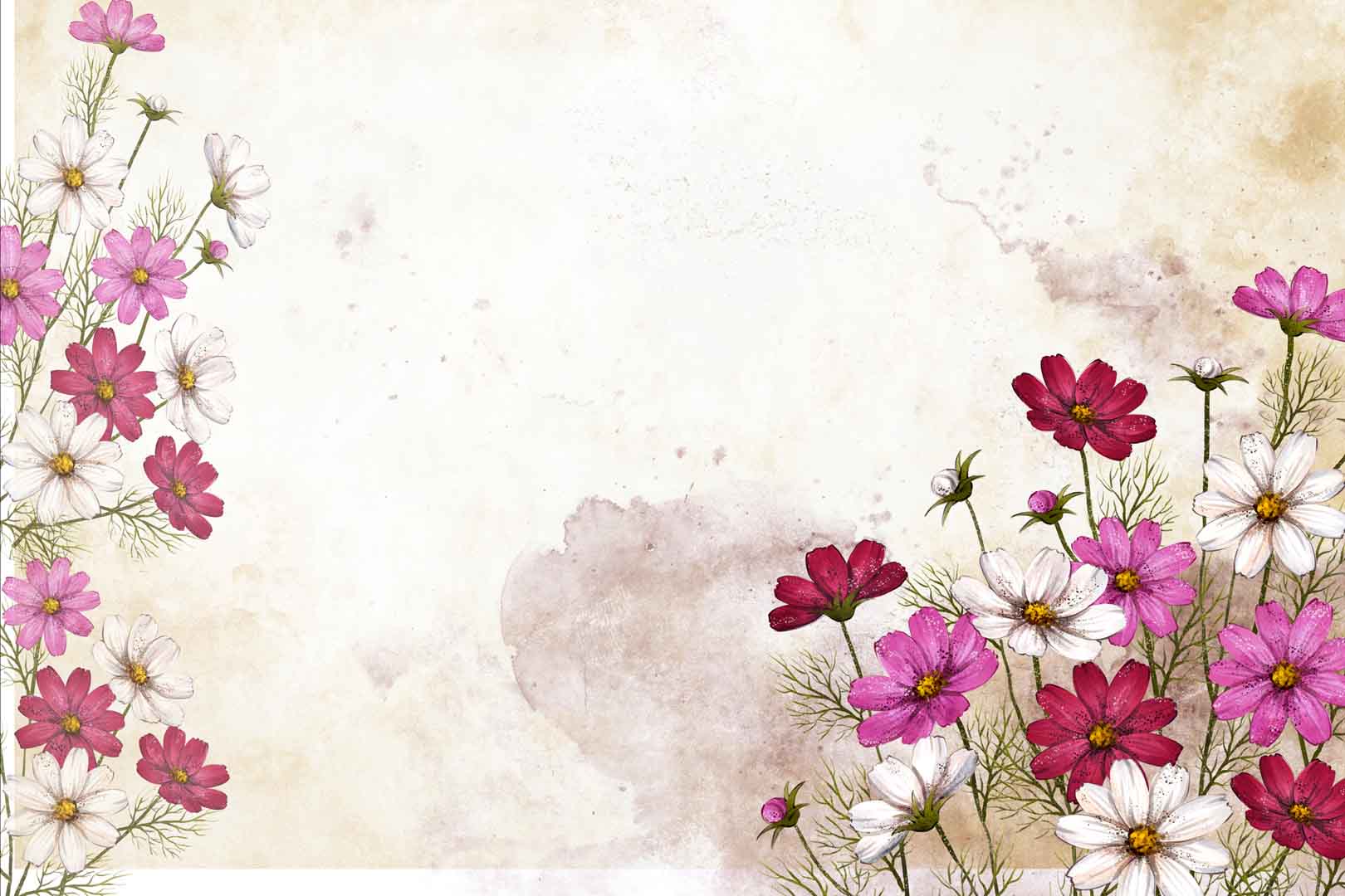 VIPcorel.com_107813.jpg