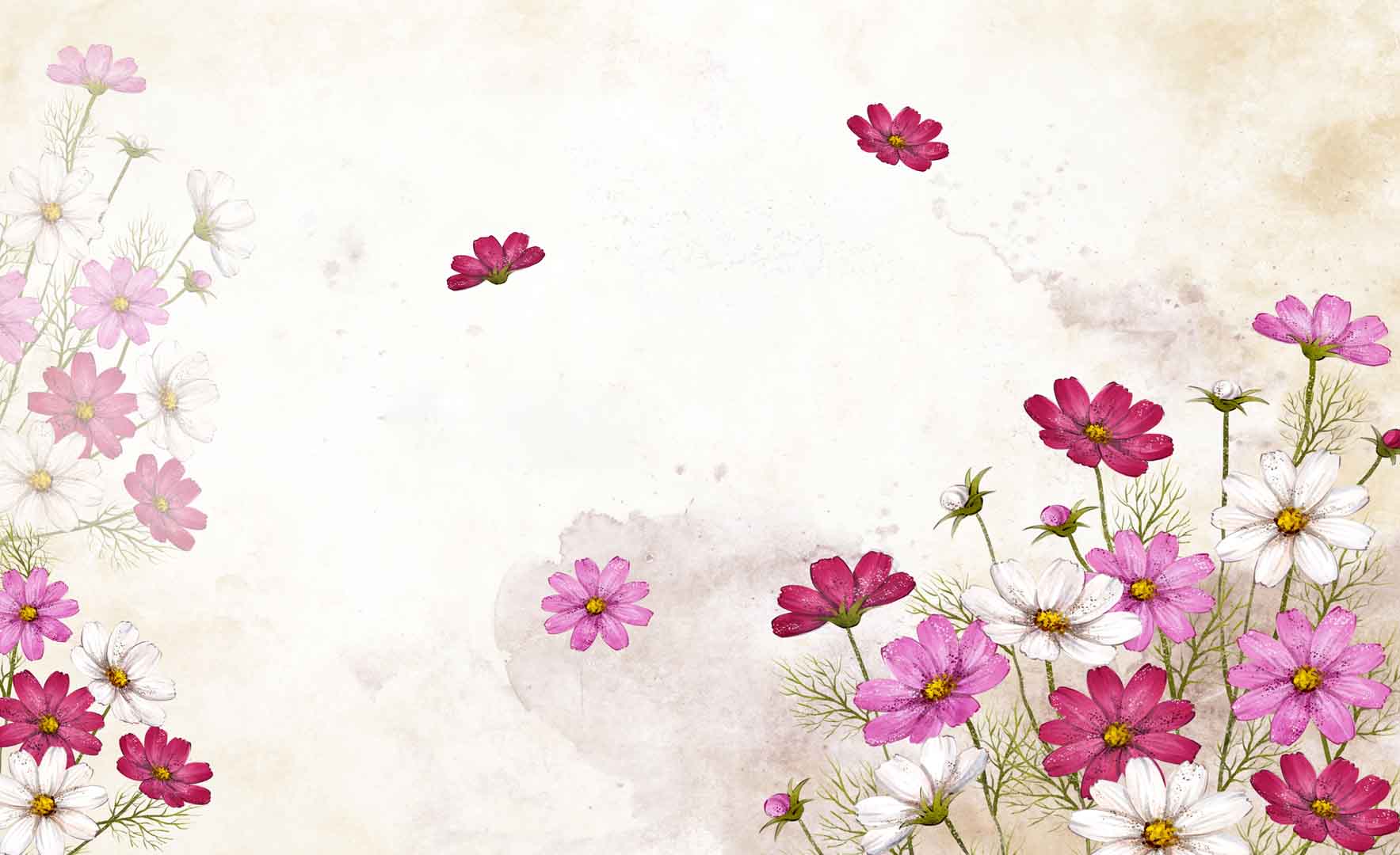 VIPcorel.com_107824.jpg