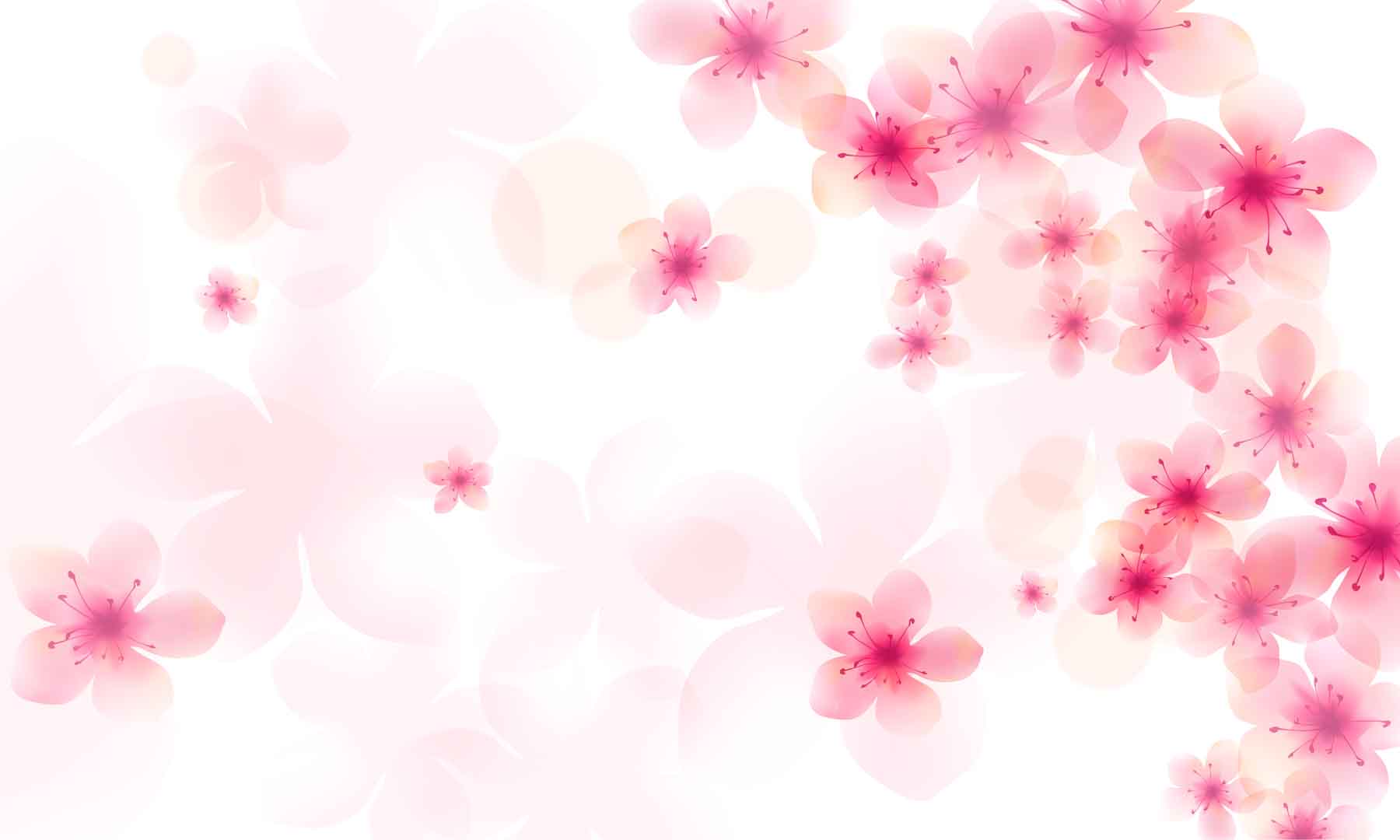 VIPcorel.com_10829.jpg