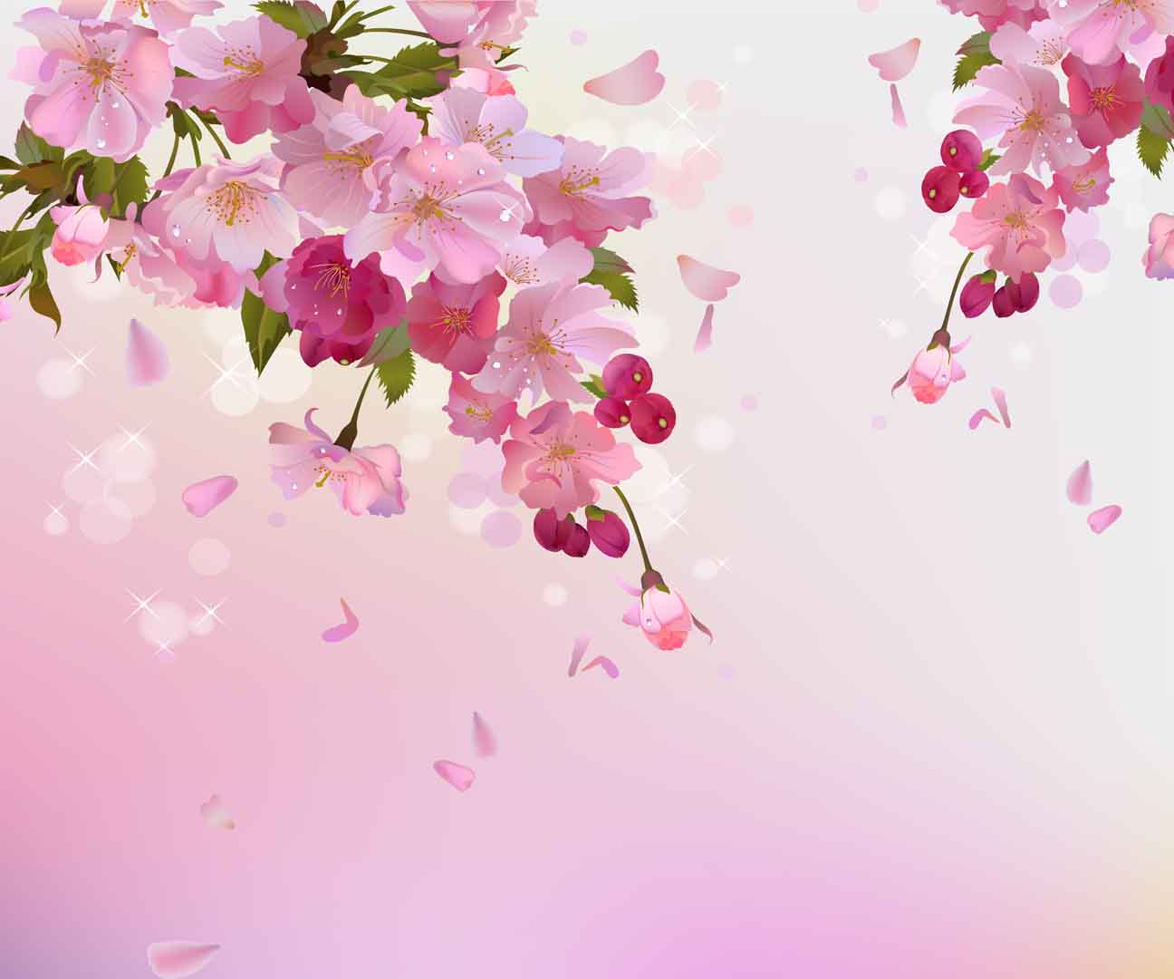 VIPcorel.com_10835.jpg