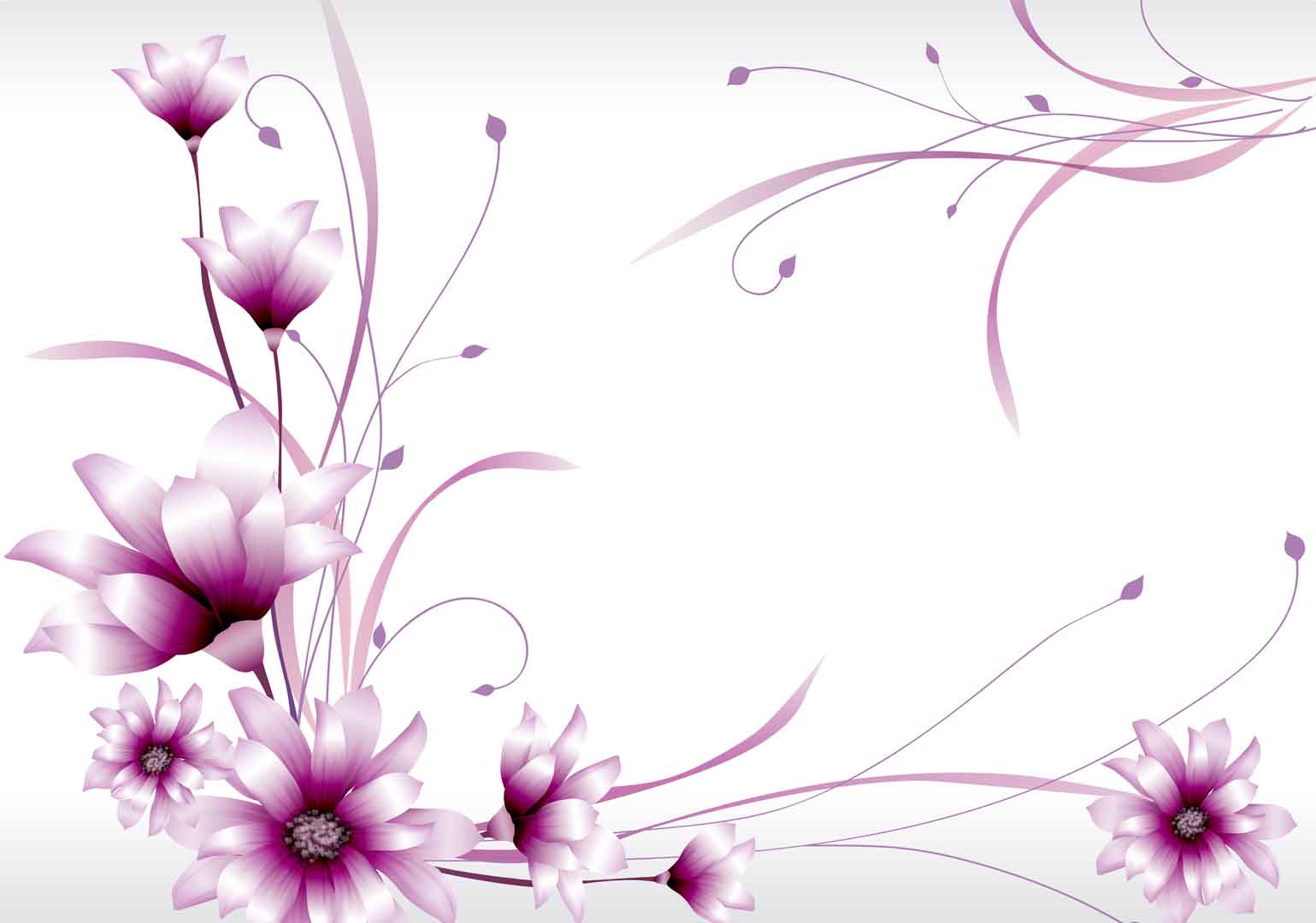 VIPcorel.com_10851.jpg