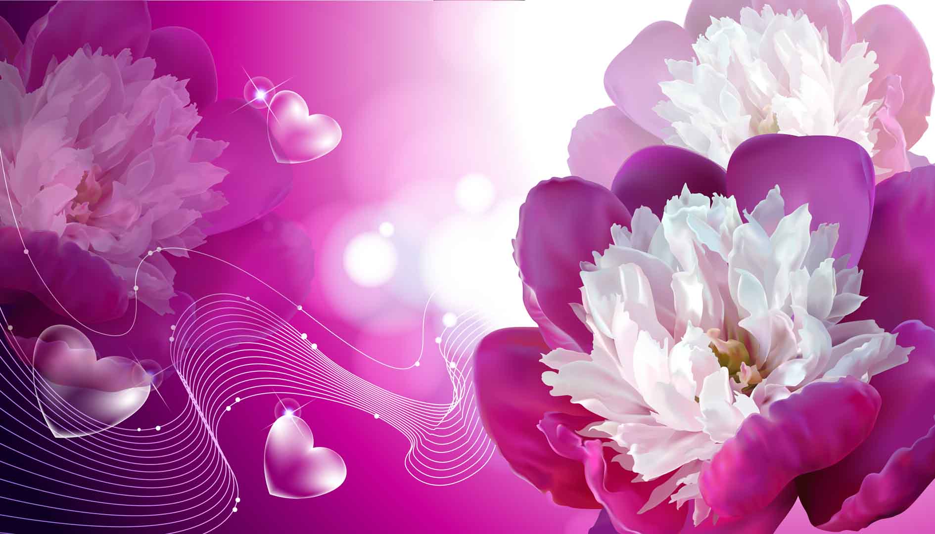 VIPcorel.com_10852.jpg