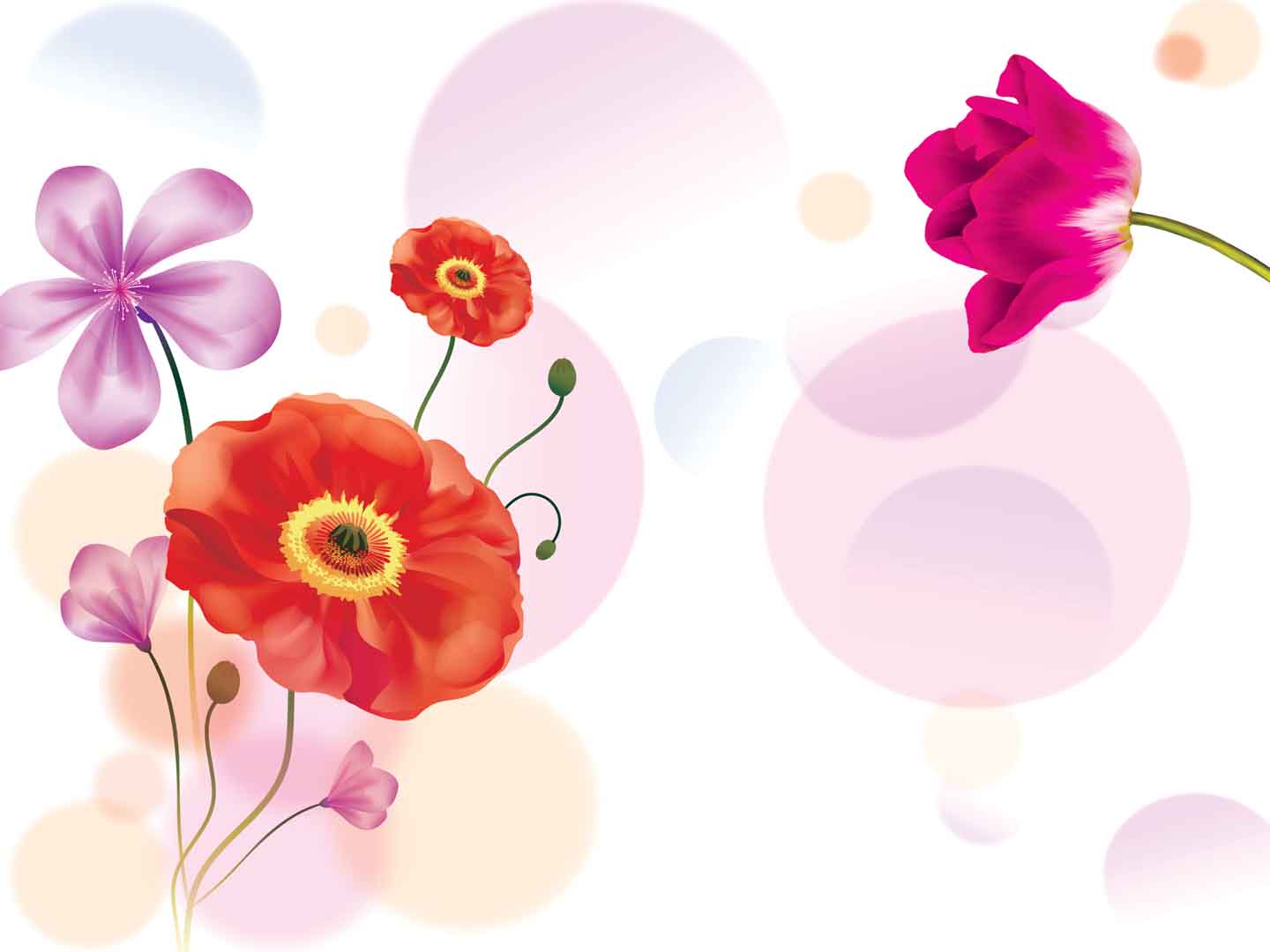 VIPcorel.com_10863.jpg