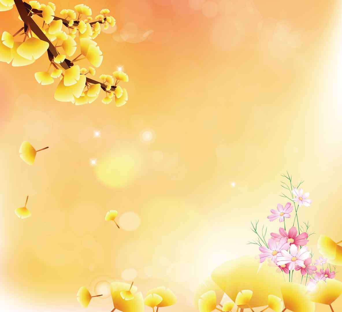VIPcorel.com_10866.jpg