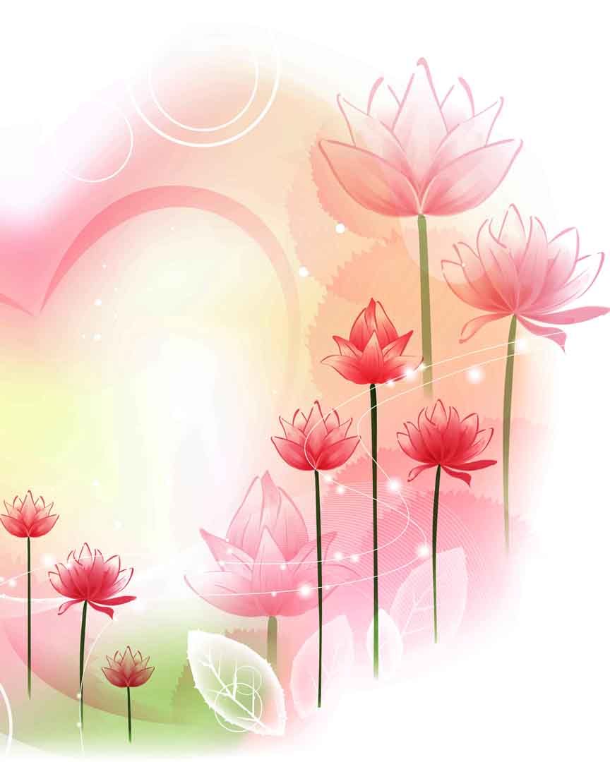 VIPcorel.com_10870.jpg