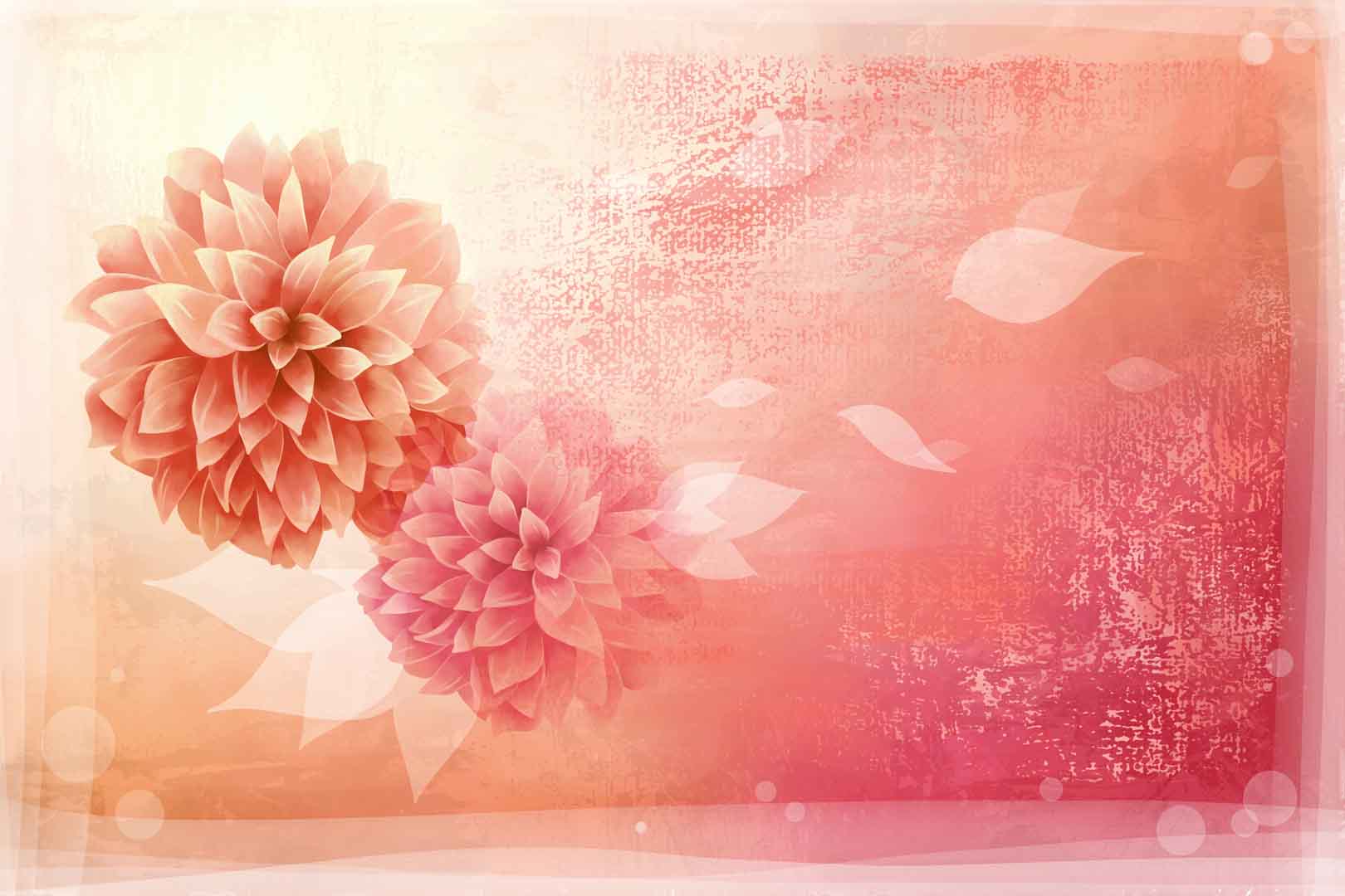 VIPcorel.com_10876.jpg