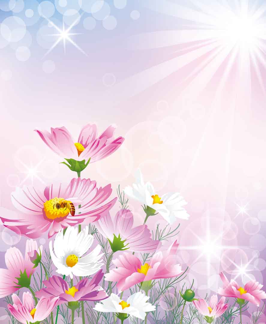 VIPcorel.com_10887.jpg